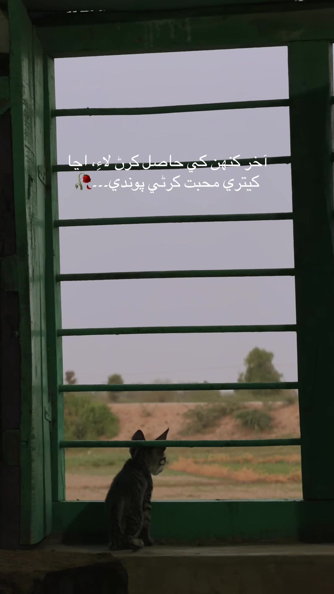 @عرحان 🥀
