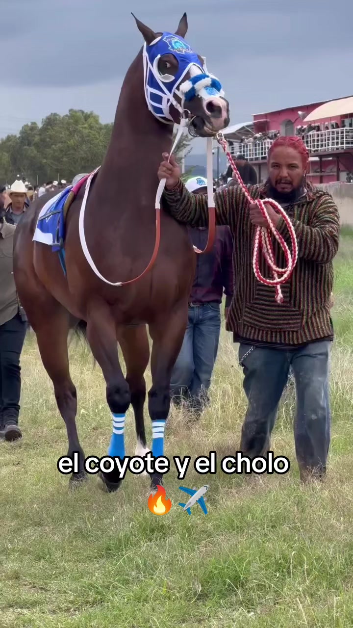 @carriles altos de jalisco🐎