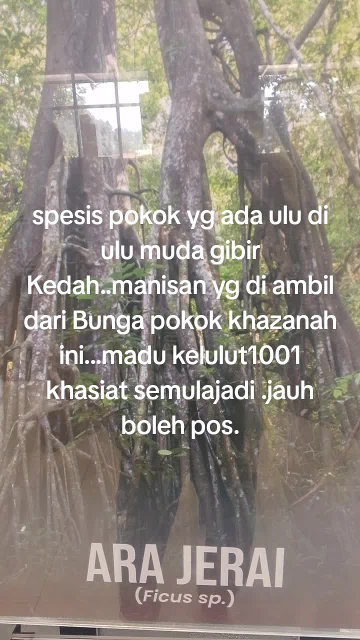 @Wan nasruy