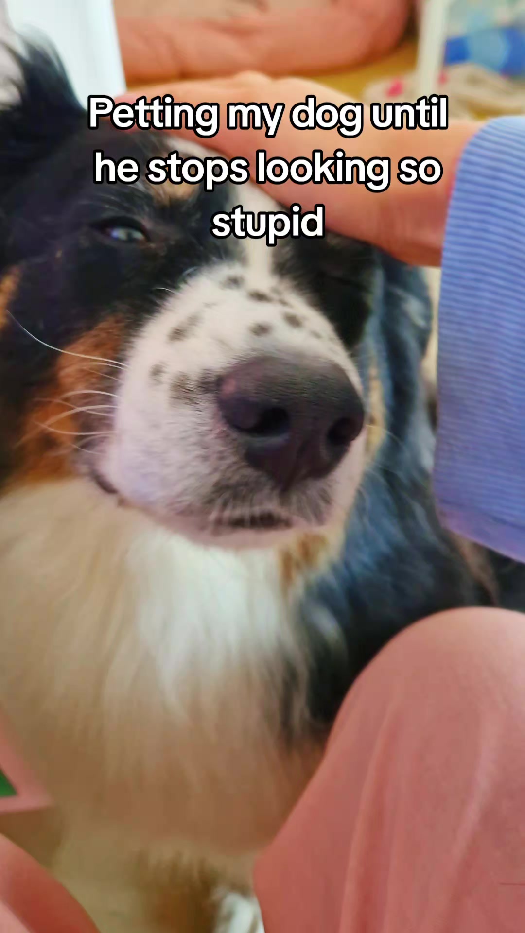 @Lofi the Aussie