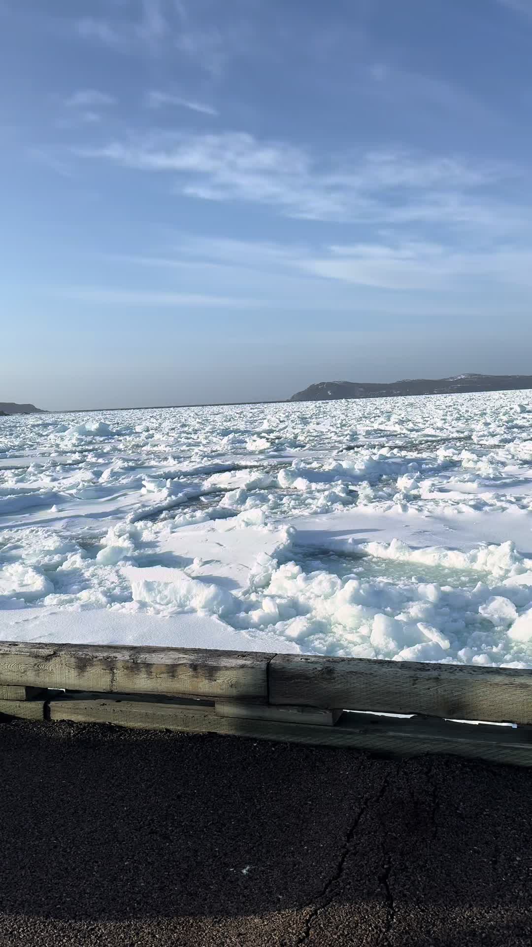 @RootsandWingsFishCo