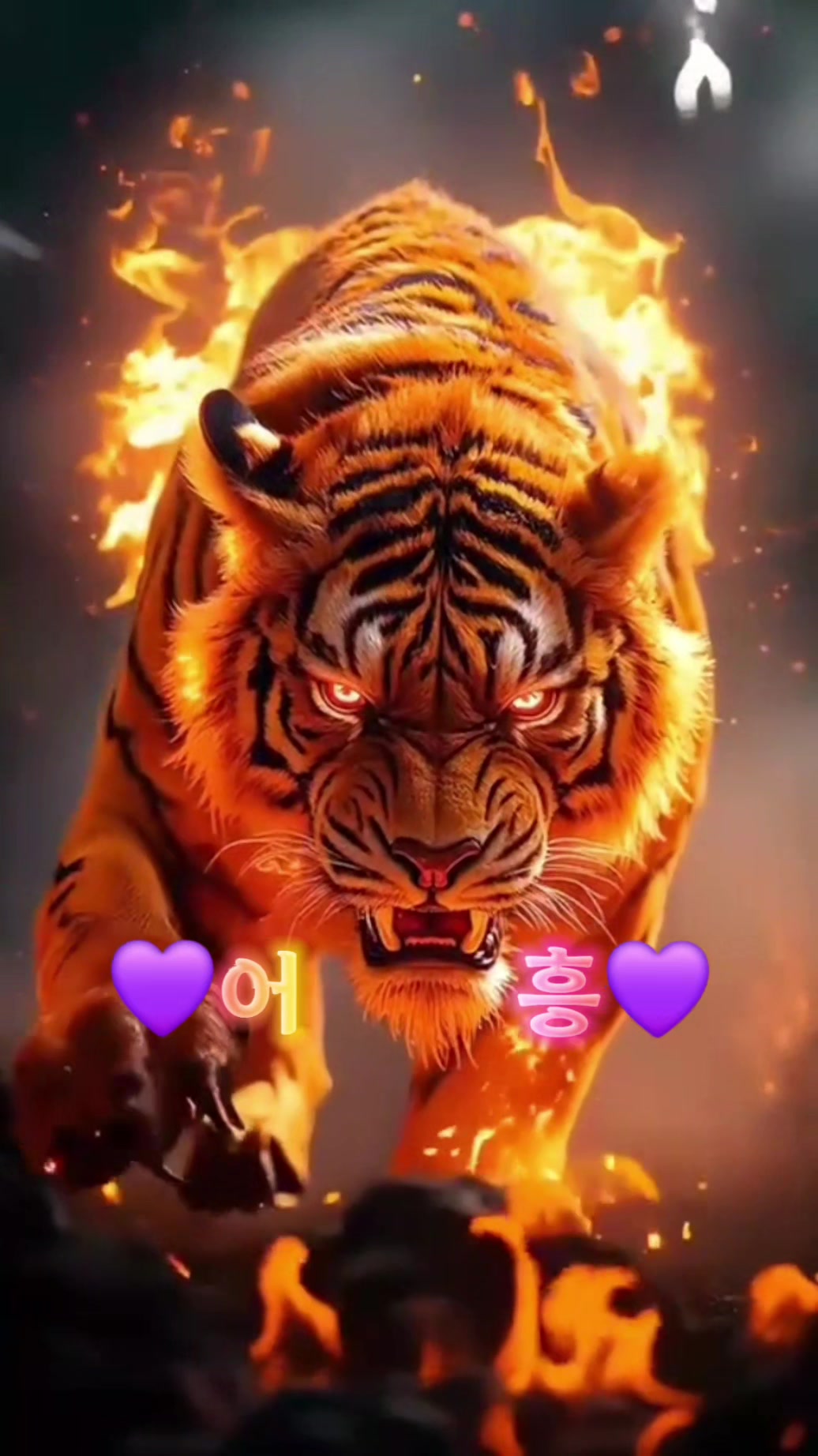 @๐ฆ์ดํฅ๊ผฌ์ผ๐๐๐ช๐ซ๐ ์๊ฐ๐ฆ
