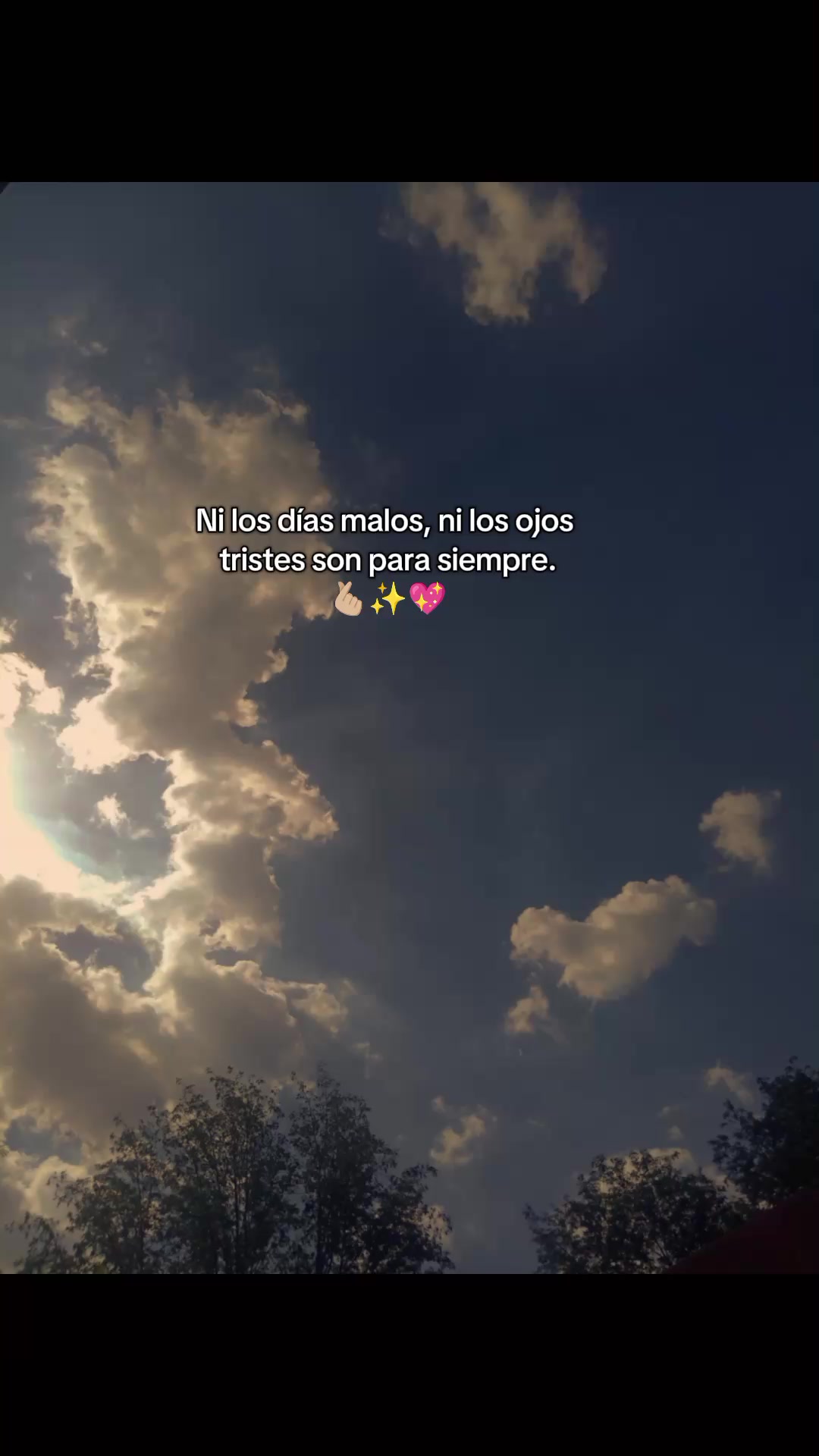 @paubonii