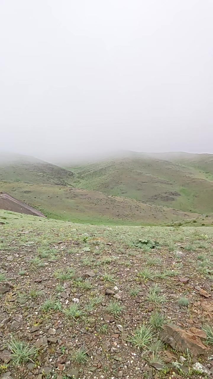 @Ариф Бадиров