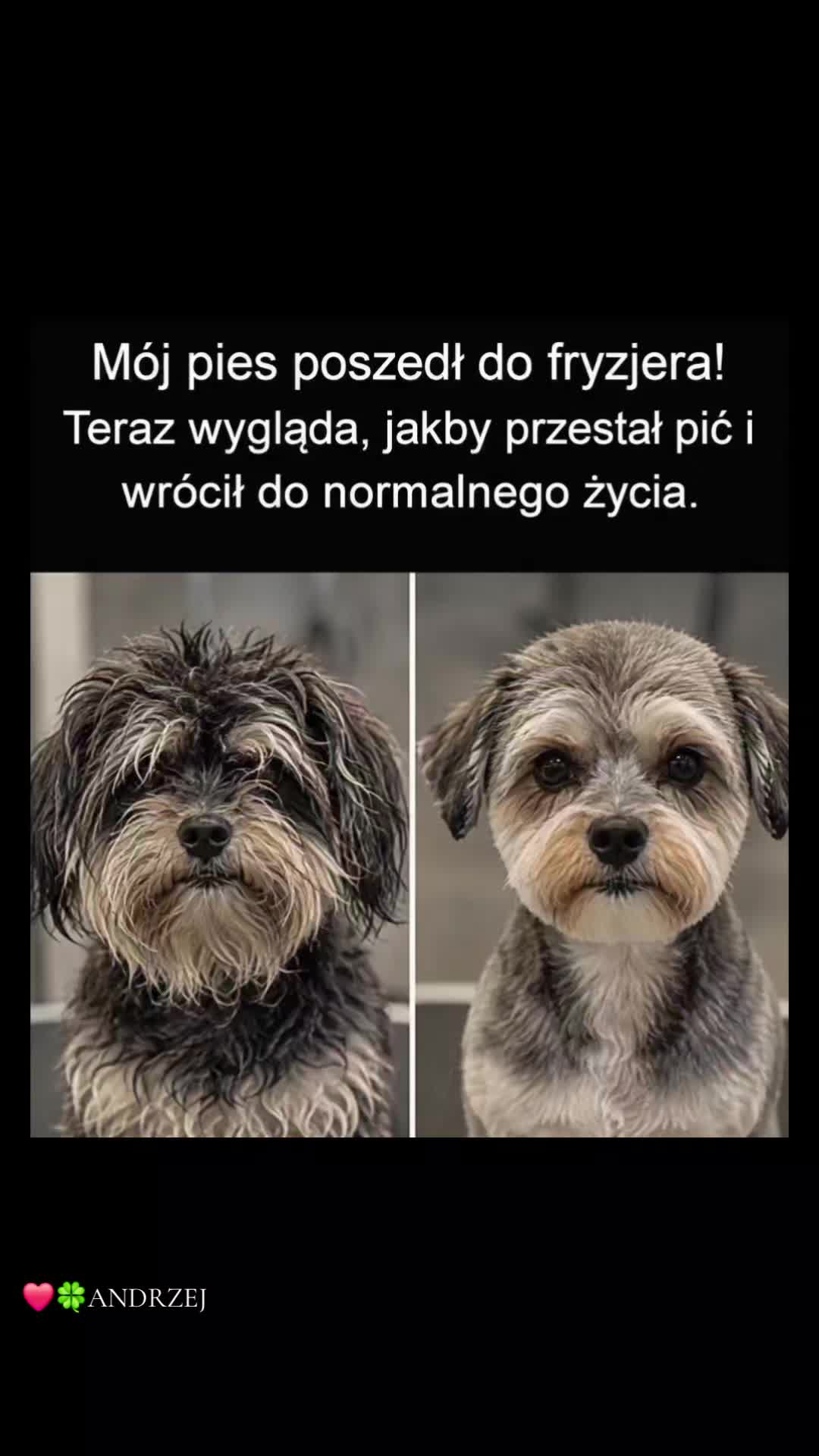 @❤️🍀ANDRZEJ