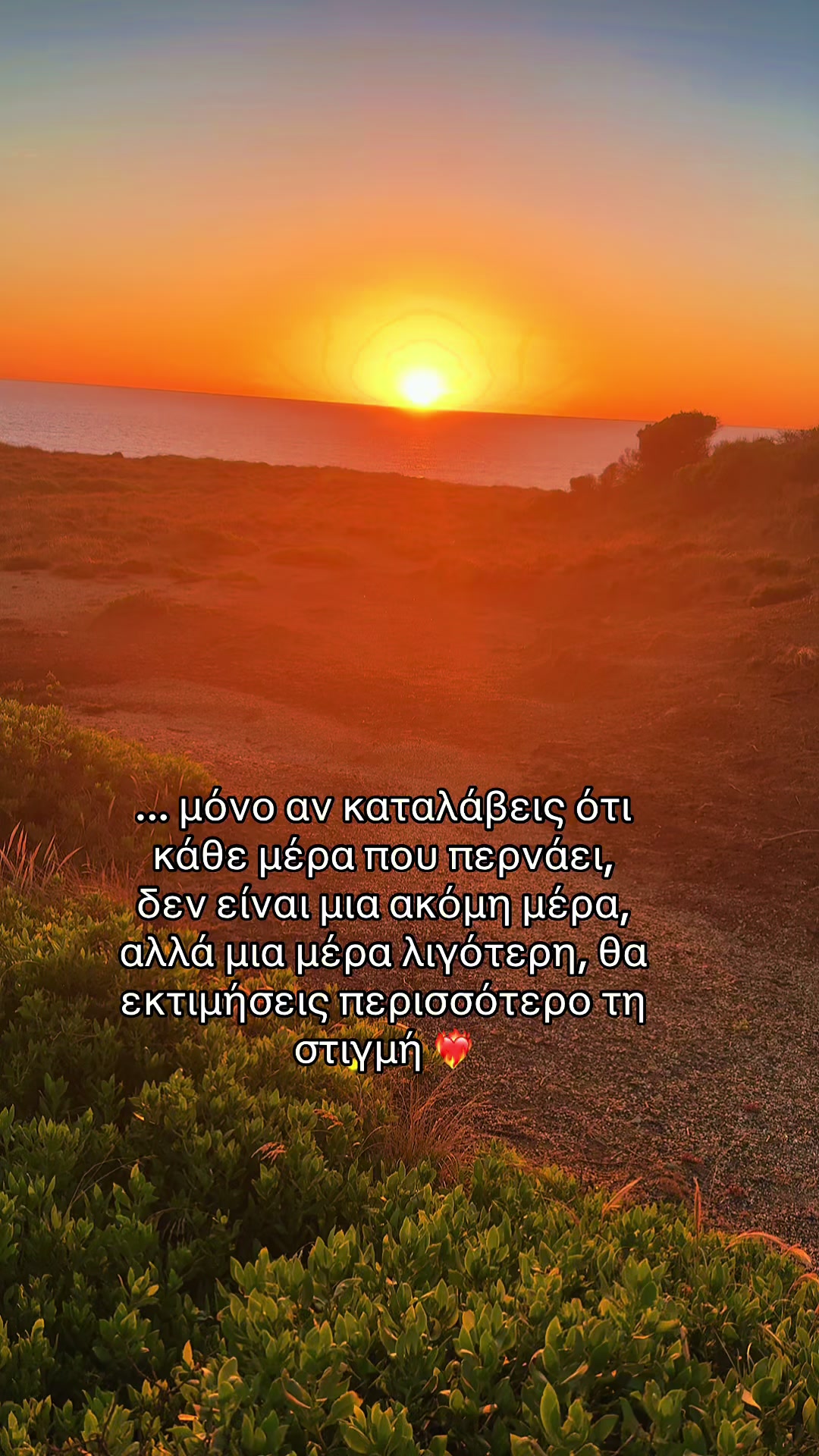 @🦋MaryVictoria♾️♥️♾️🖤♾️💜