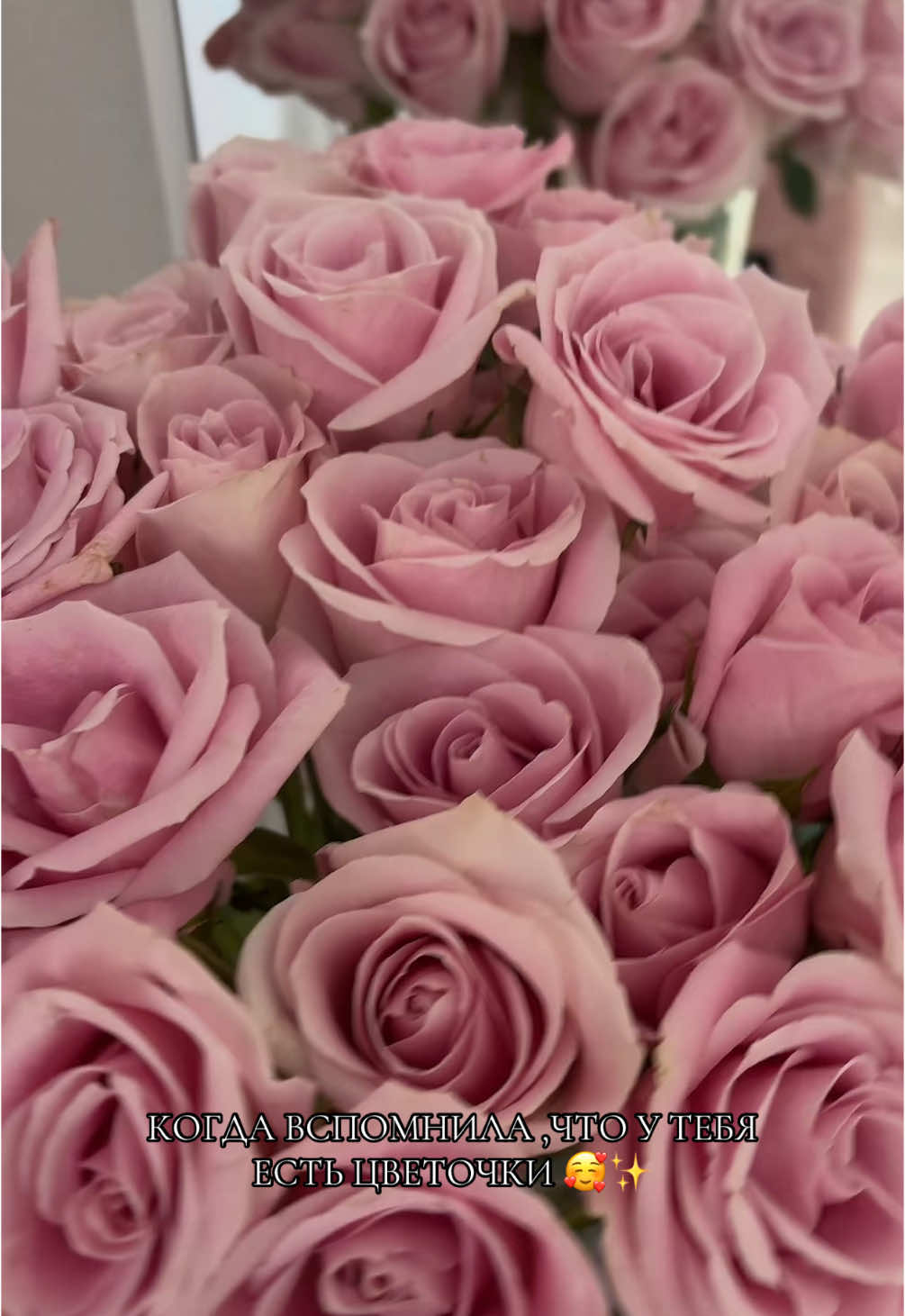 @kr.asemgul