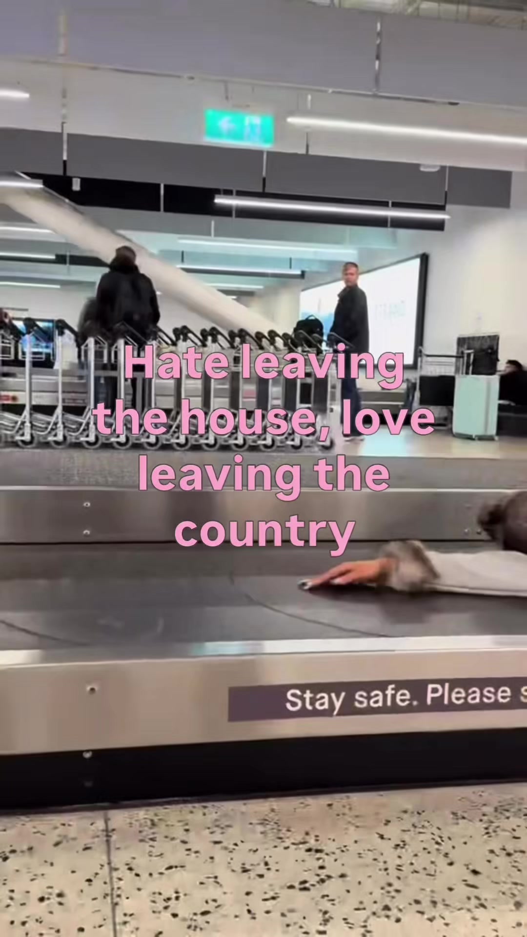 @Bye Bambi