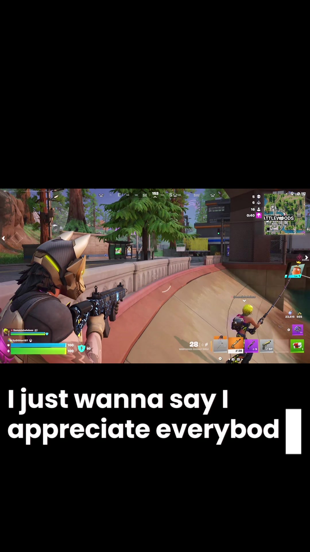 @Gr3y Goose