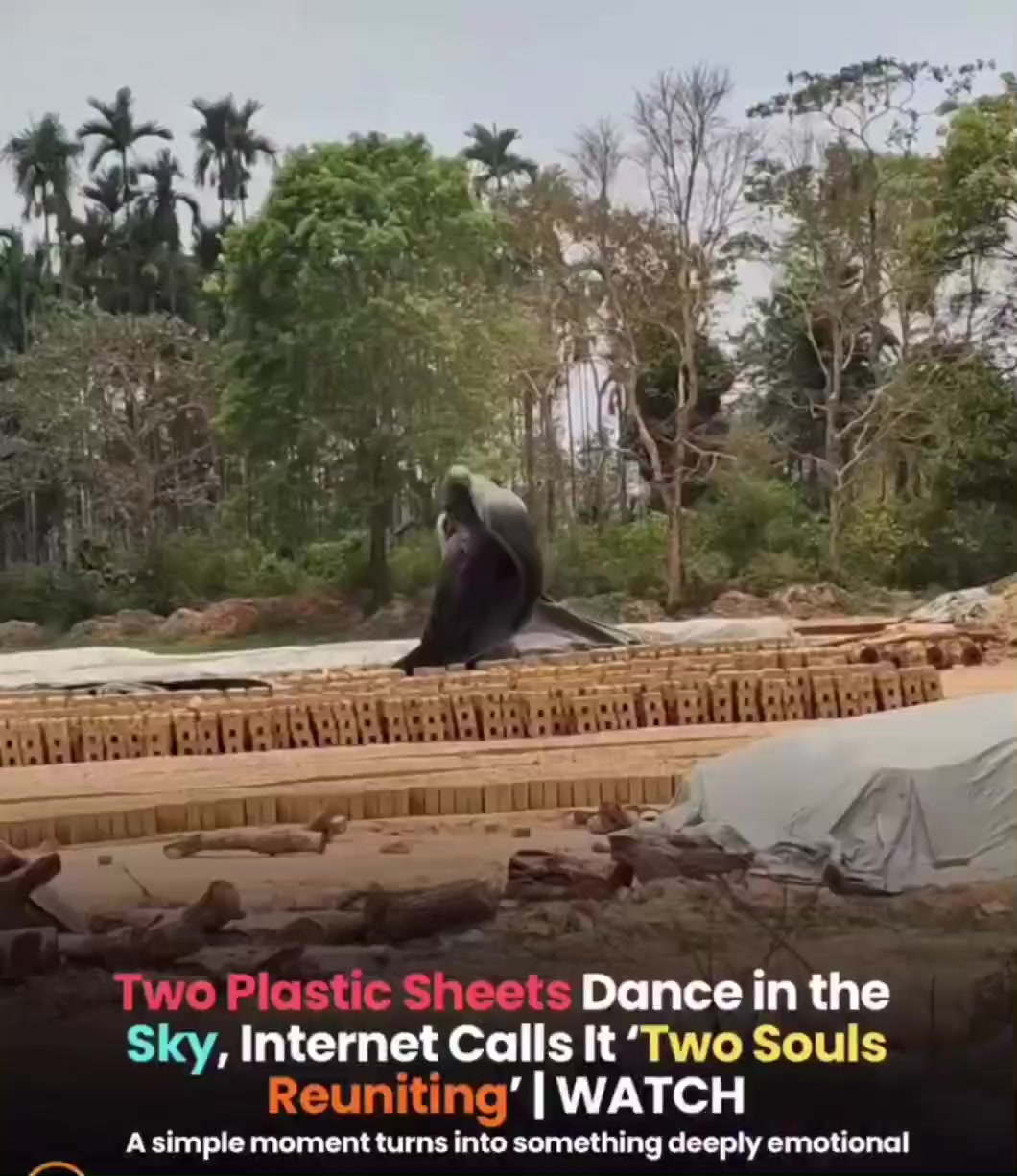 @Ak