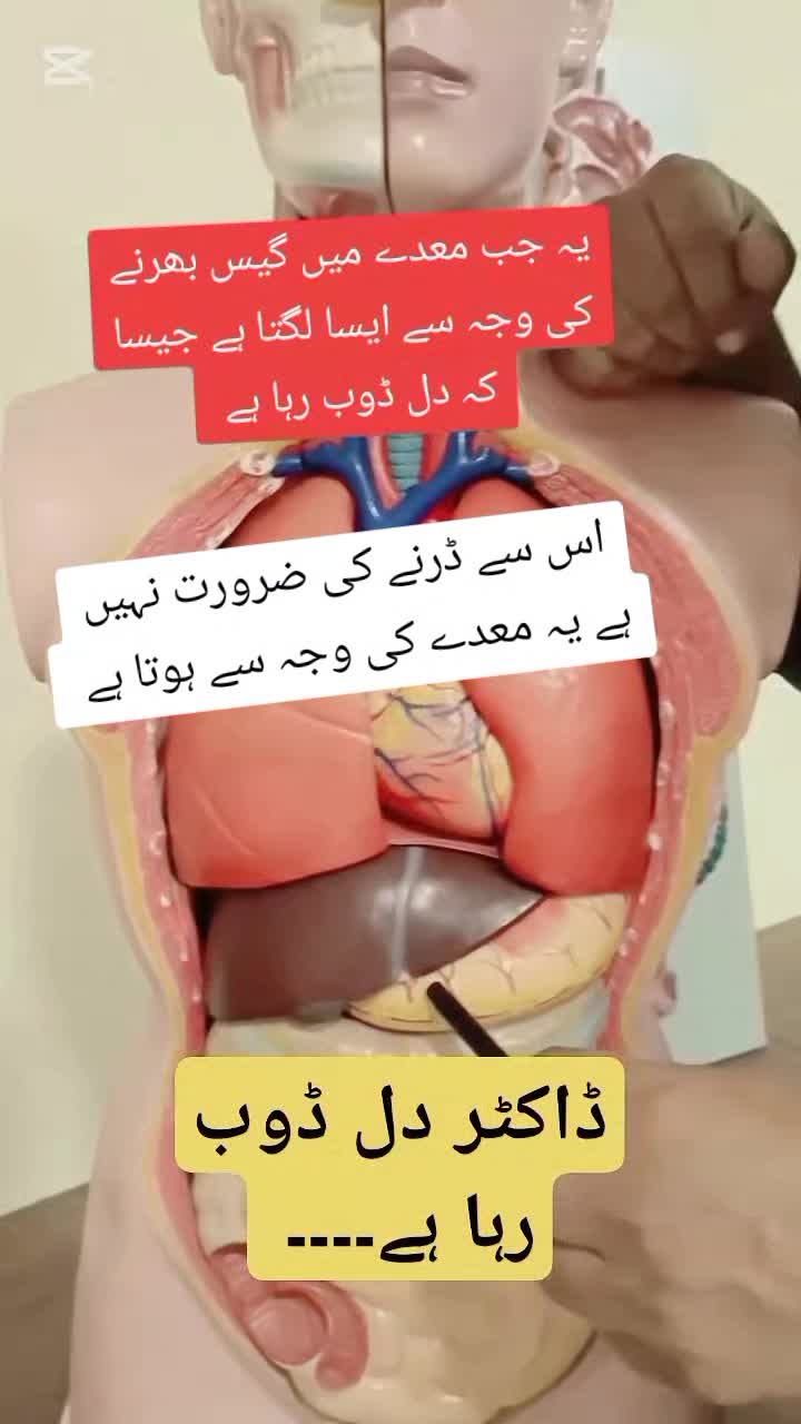 @DR_MK_DWR