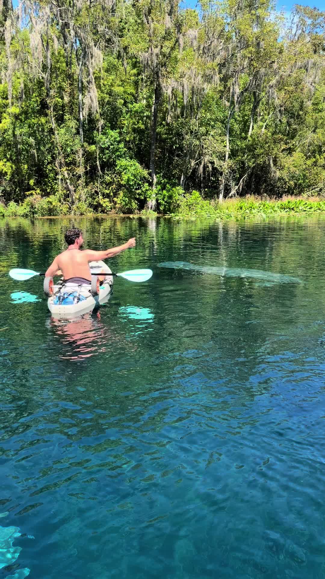 @Wet Rabbit Kayaks