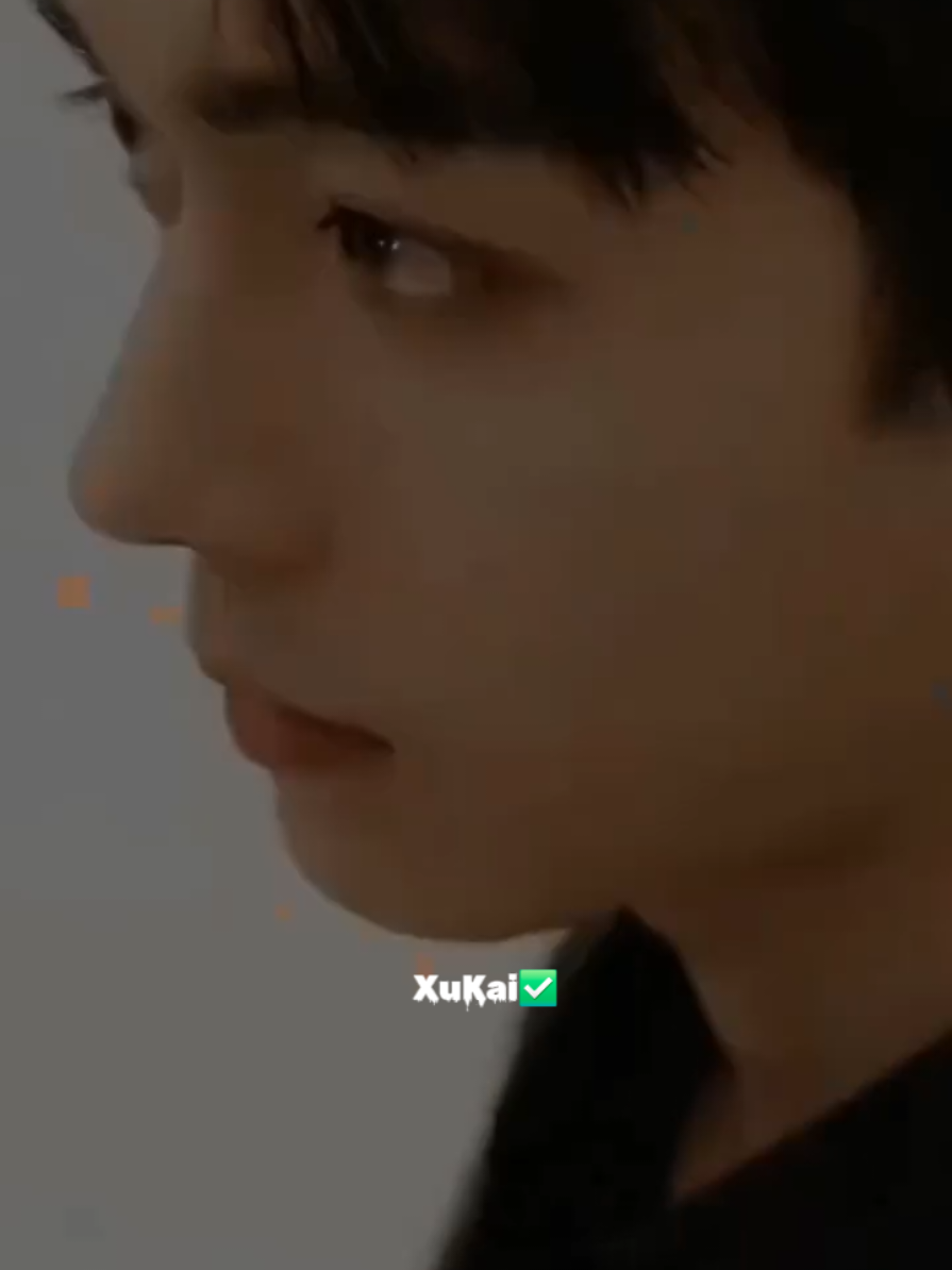 @XuKai✅️