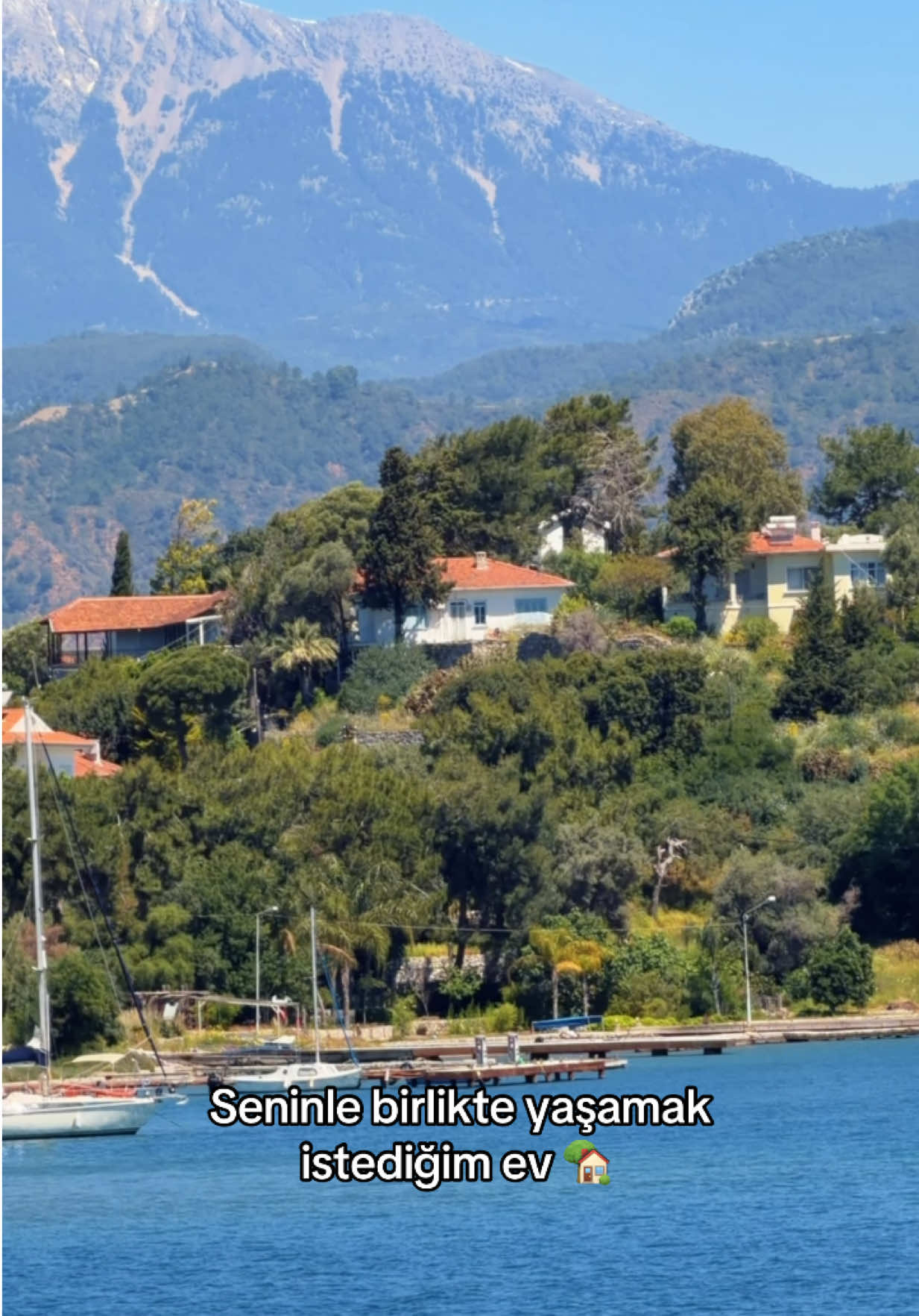 @Abdullah Şahin