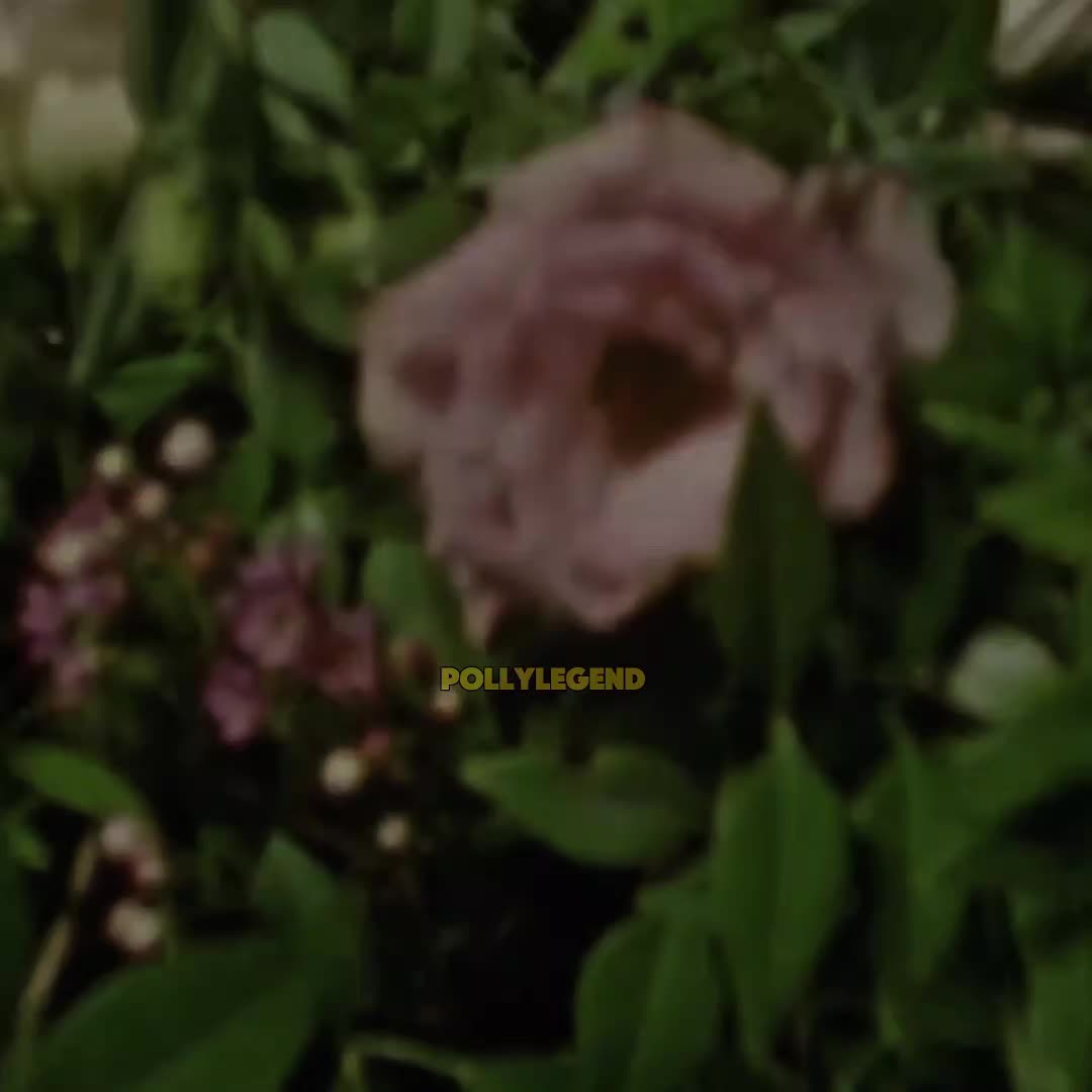 @ᴘᴏʟʟʏʟᴇɢᴇɴᴅ ᶜᵉᶜ 🌈