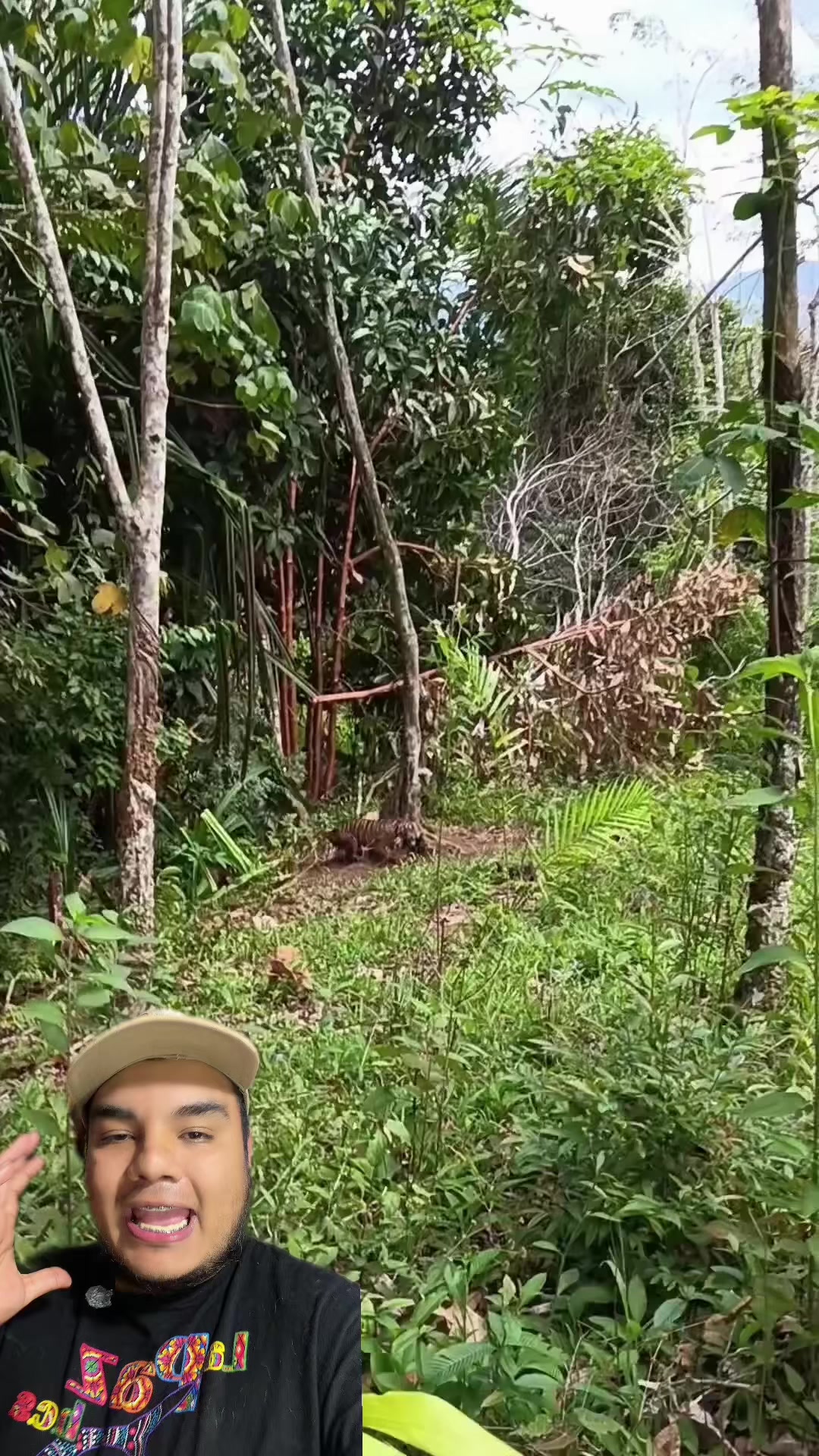 @Jair Herrera 🐆