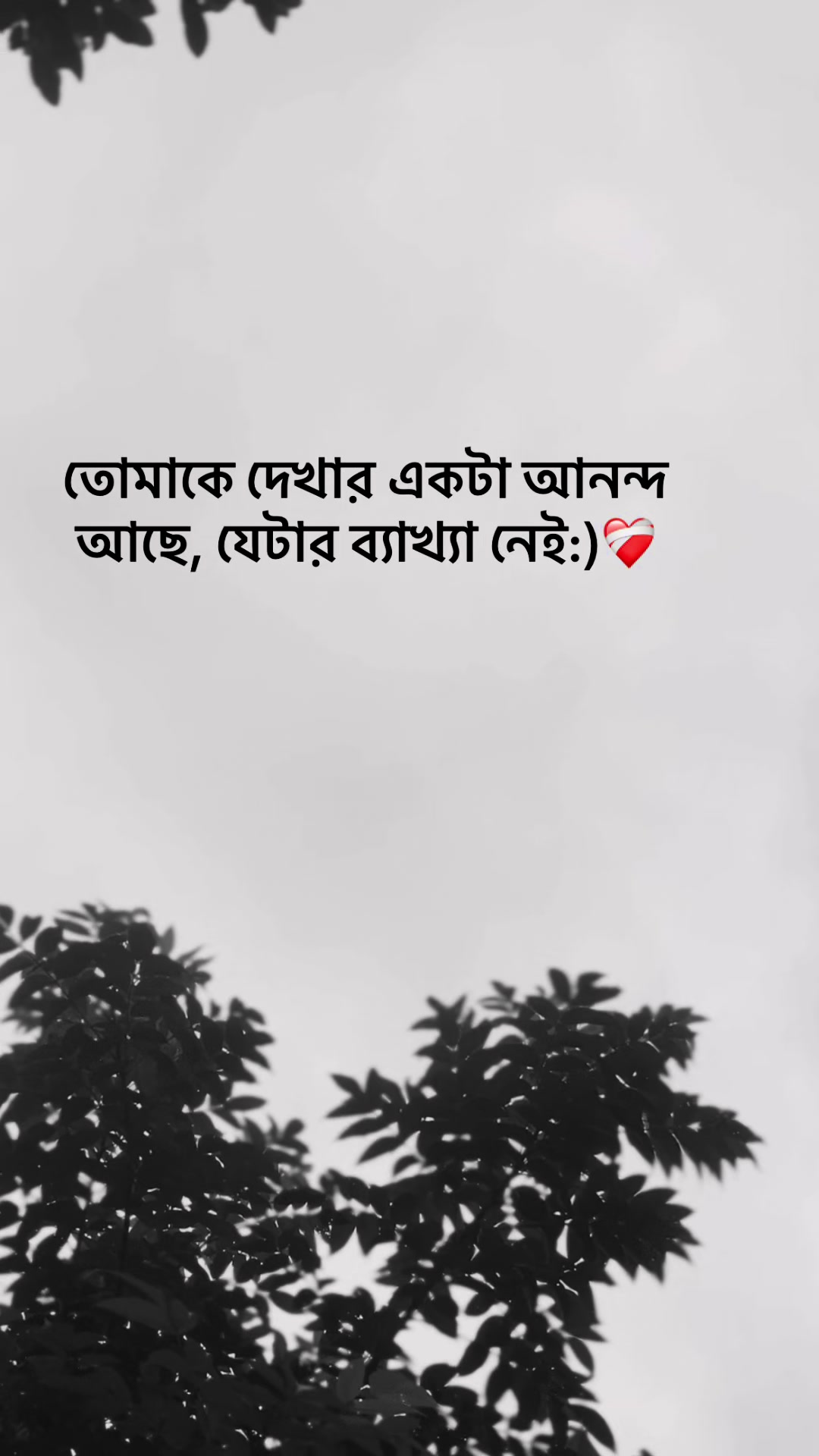 @S_A_Y_M_O_NđĨ°SAMMIHAđĨ°