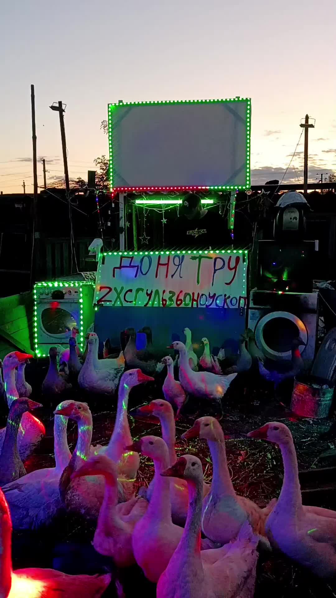 @весёлые поздравления с гусями