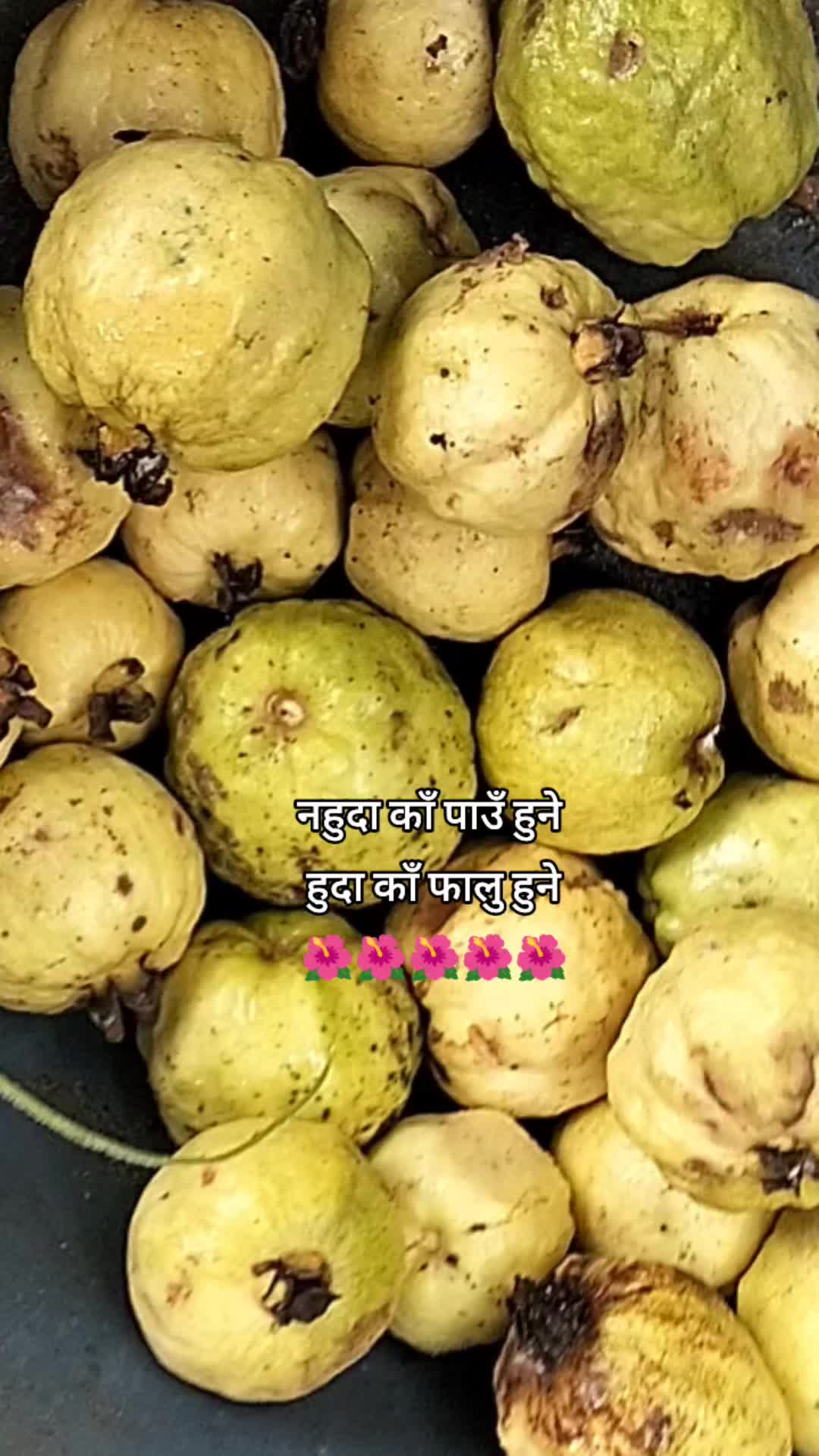 @Sunkesha❤️+❤️Harikrishna