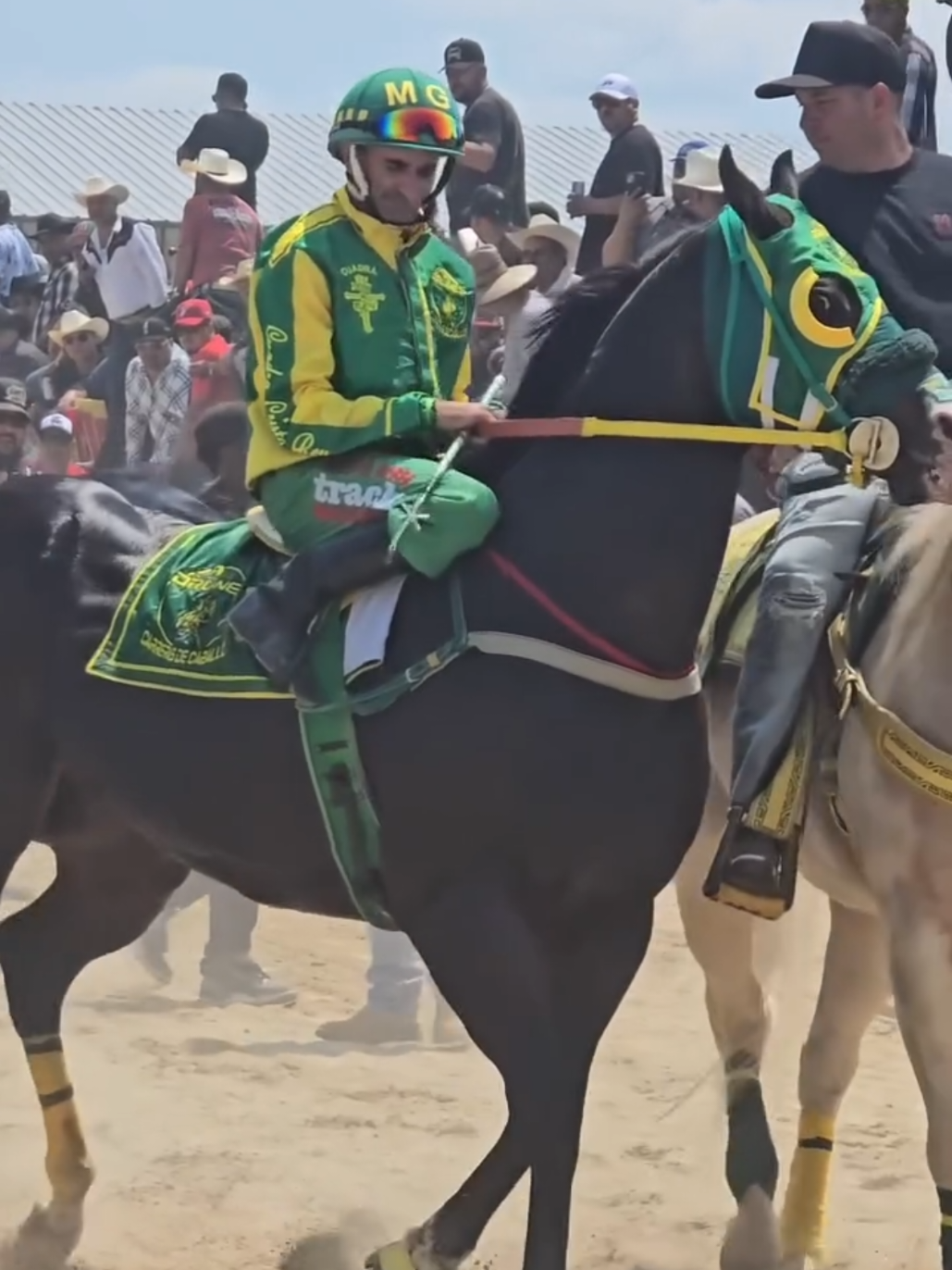 @carriles altos de jalisco🐎
