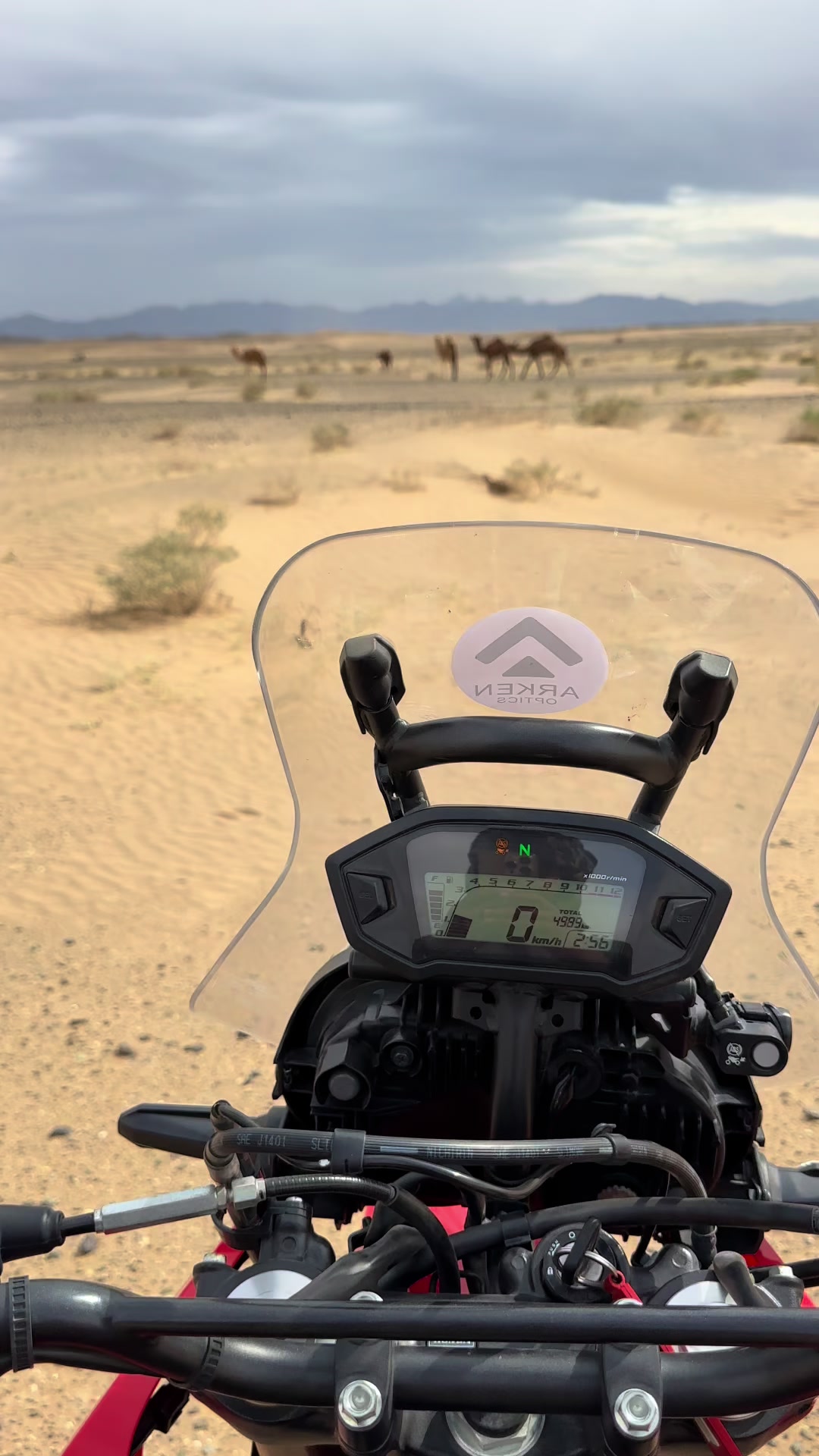 @بلوچستان عشق است 🐪🏜️🪶