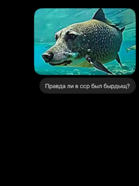 @Переписки и ответы
