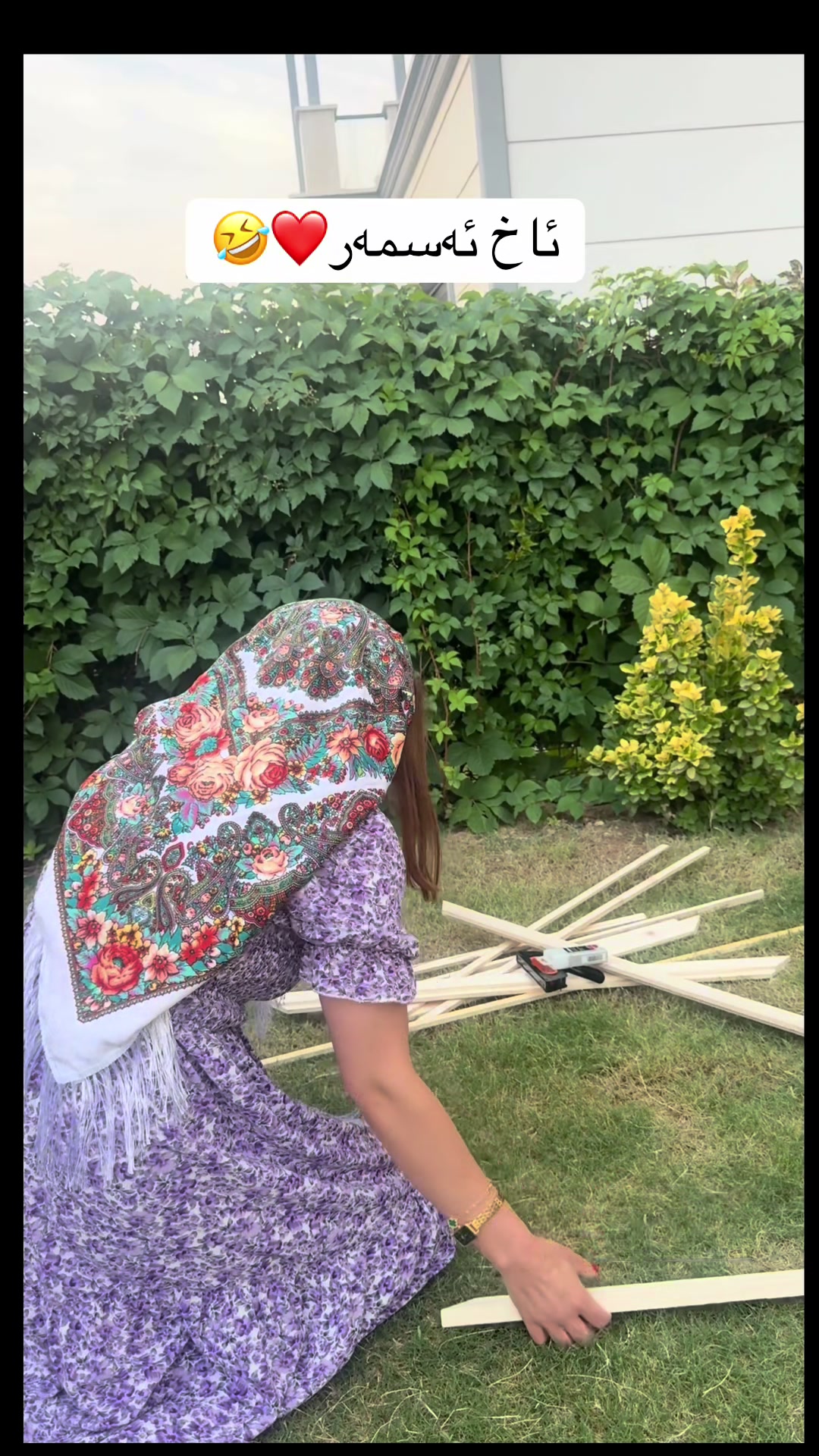 @دایکی هالە