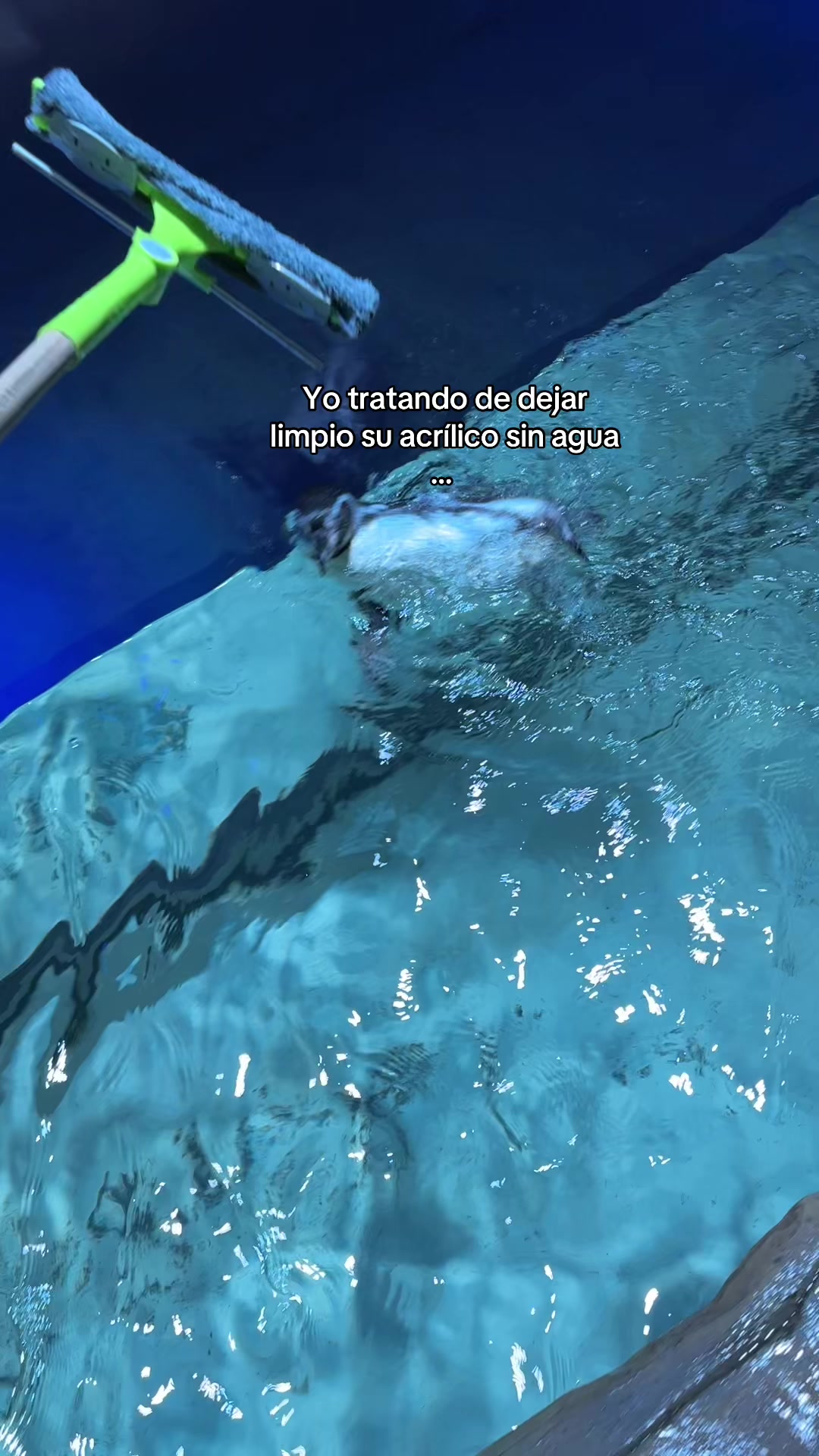 @Pao