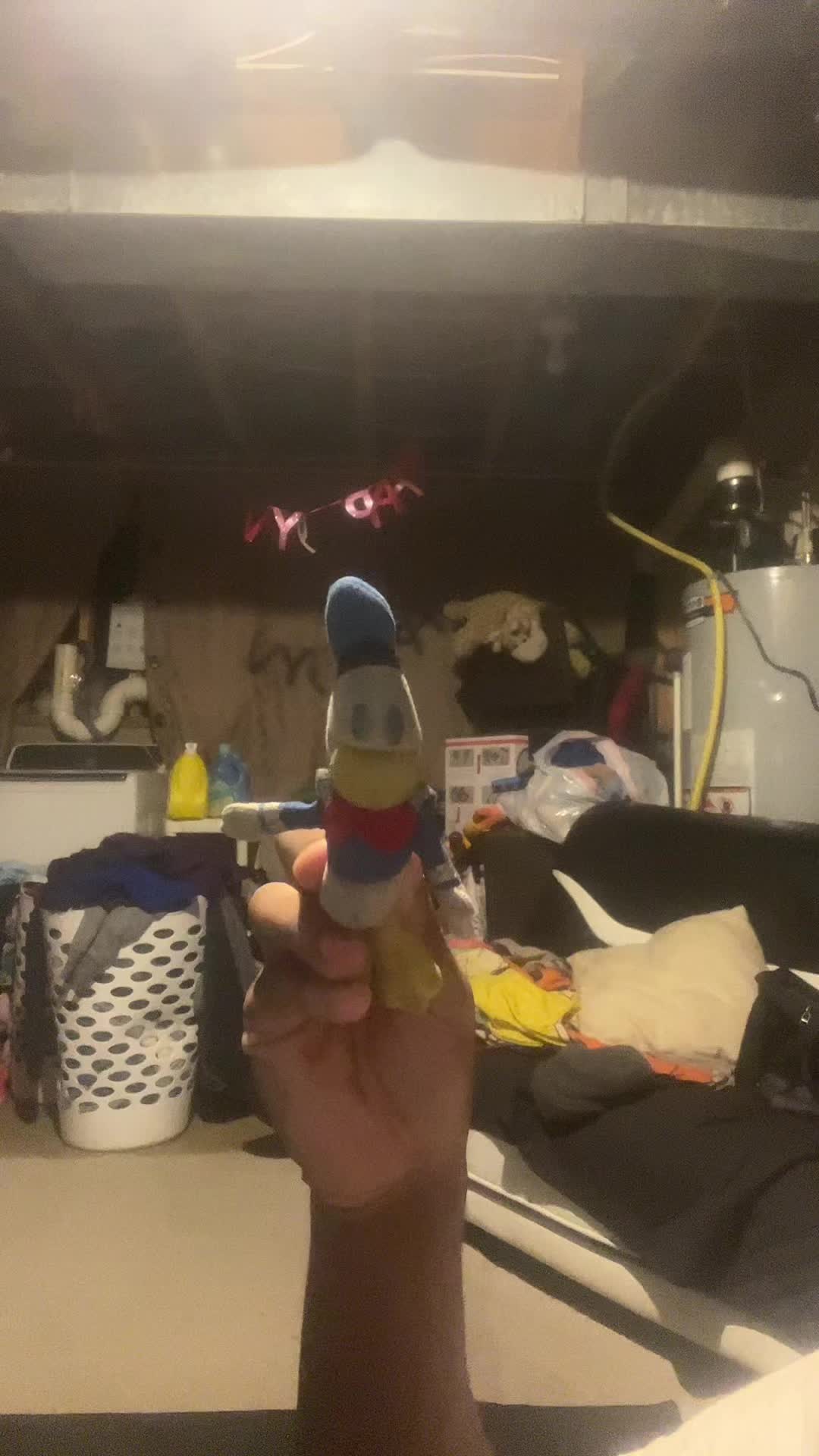 @Donald Duck