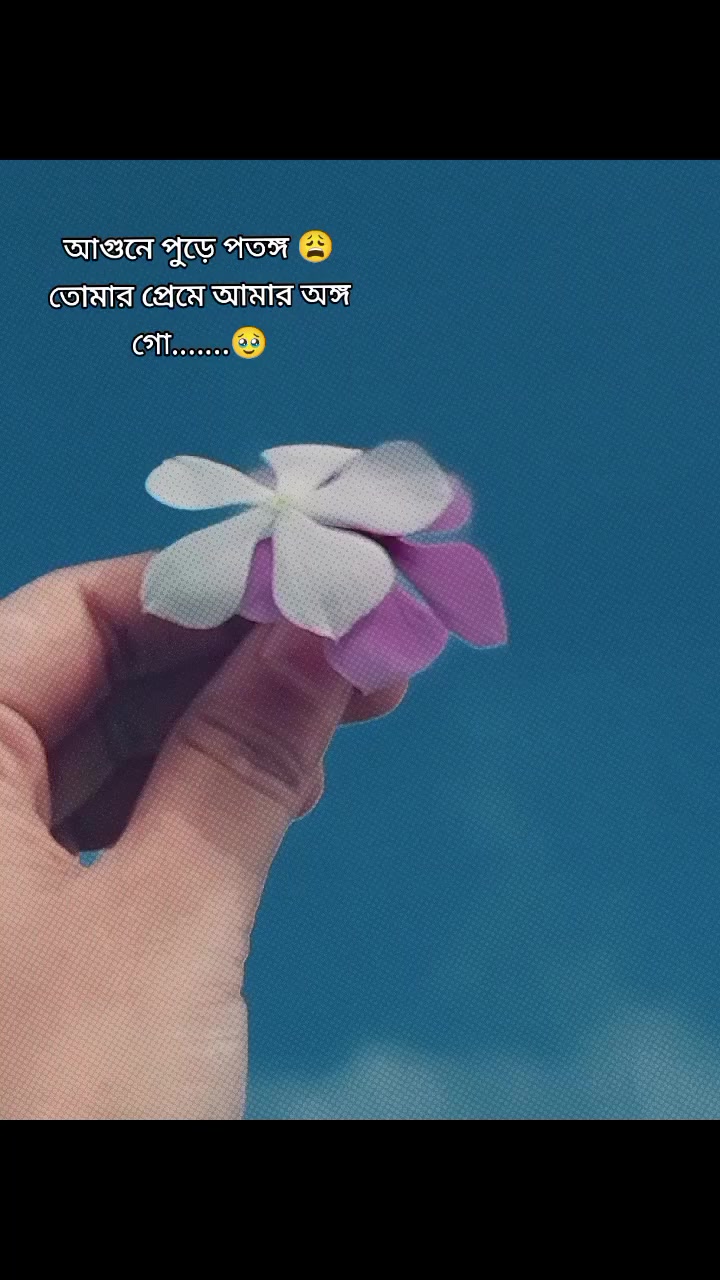 @_Flower's_queen_đđ°