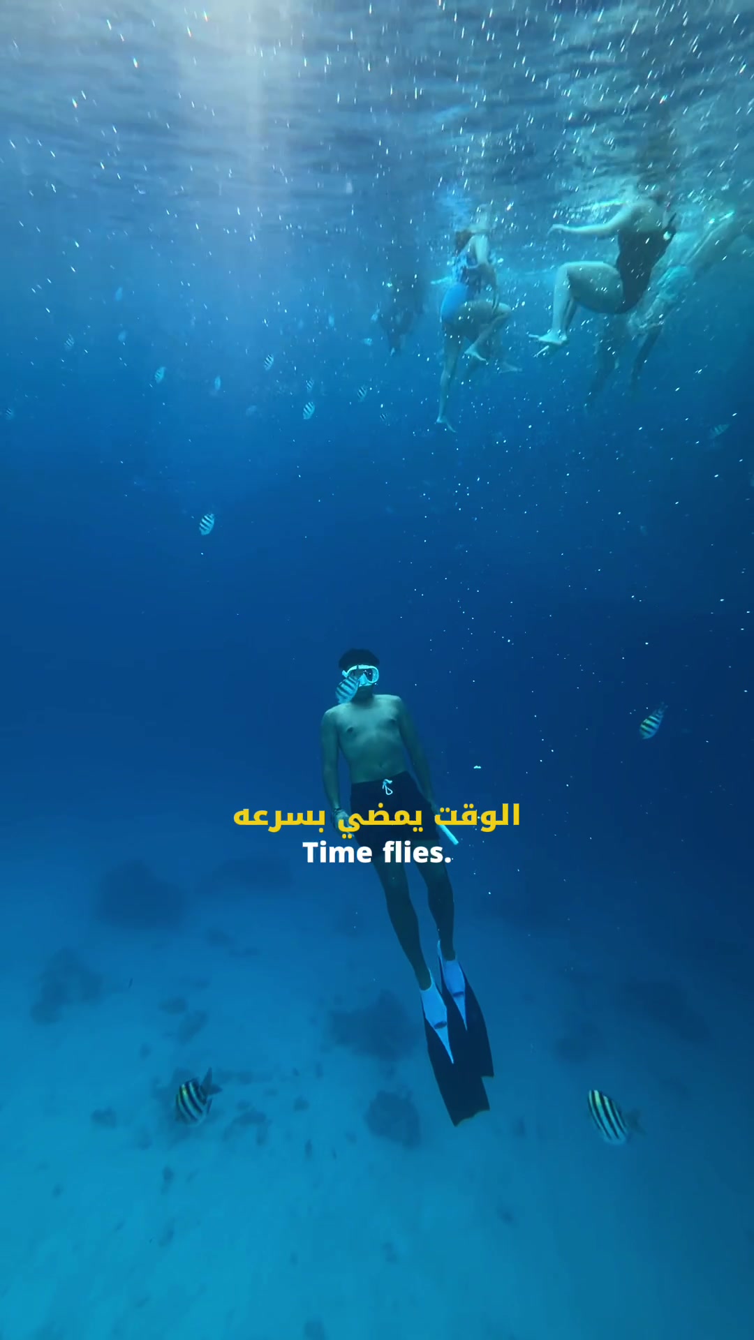 @Abd Alah adel - عبدالله عادل