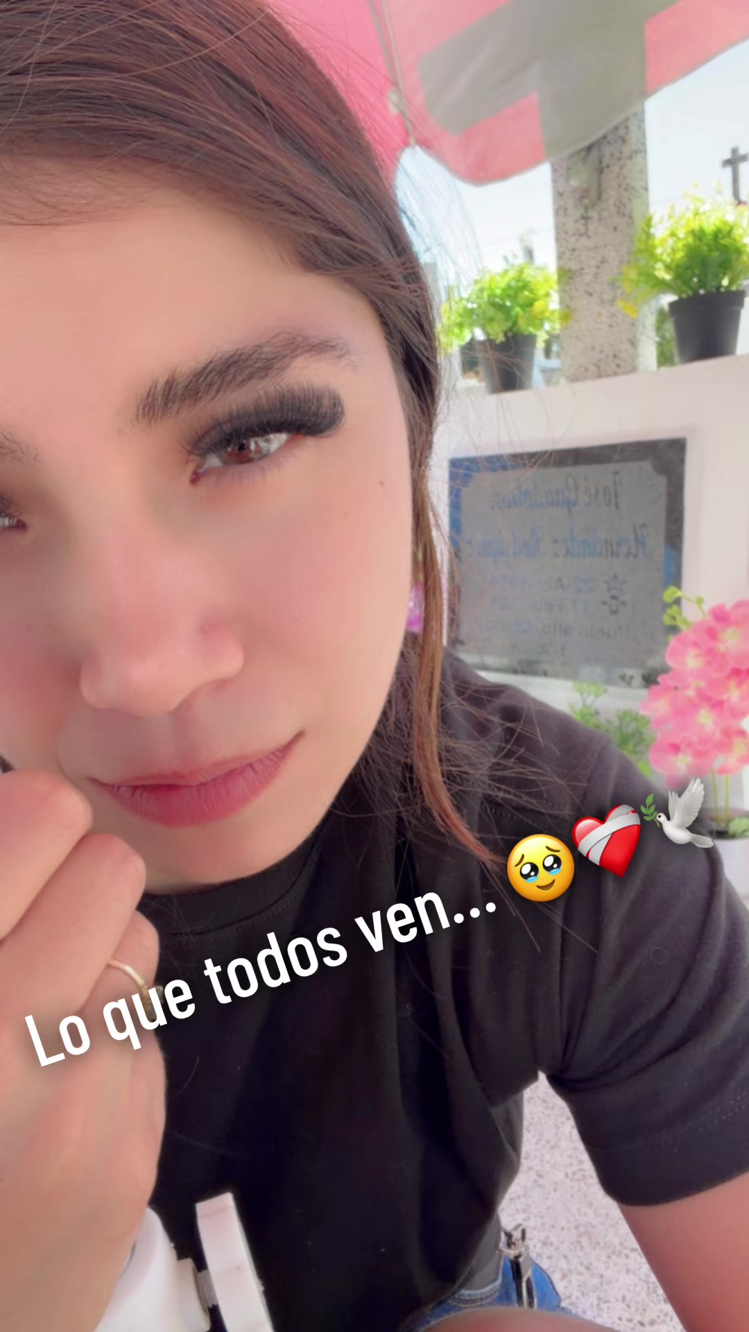 @Alejandra Hernandez