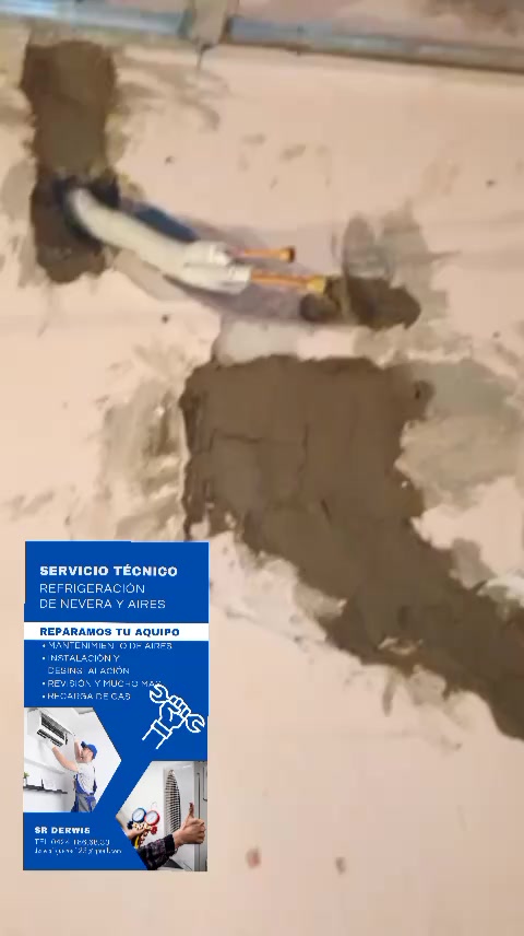 @darwin062