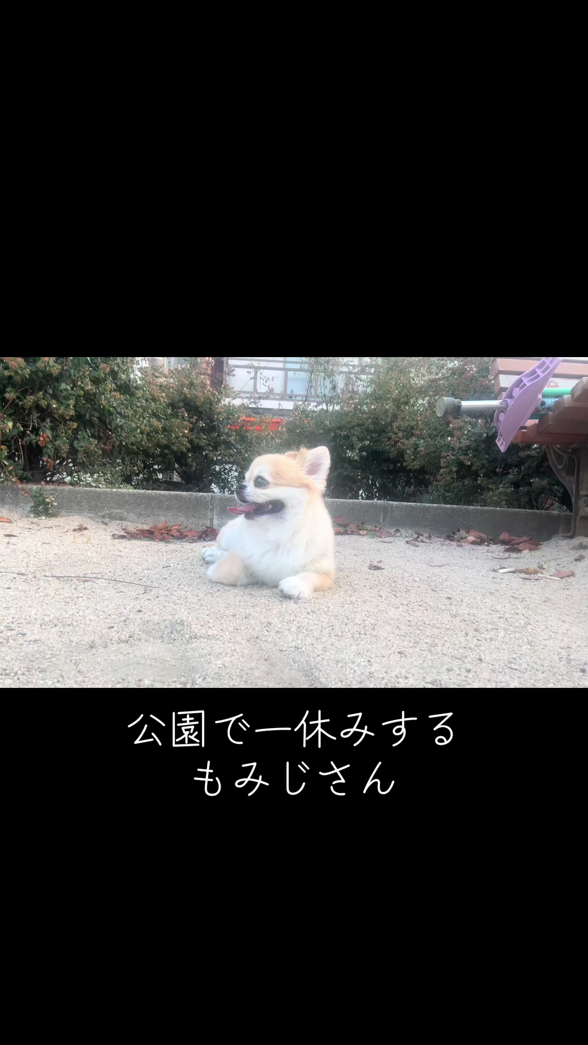 @もみぞう
