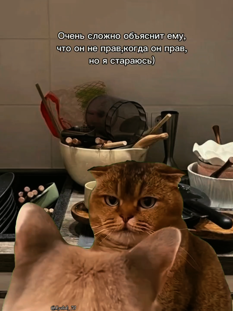 @𝑳𝒚𝒅𝒎𝒊𝒍𝒌𝒂シ︎