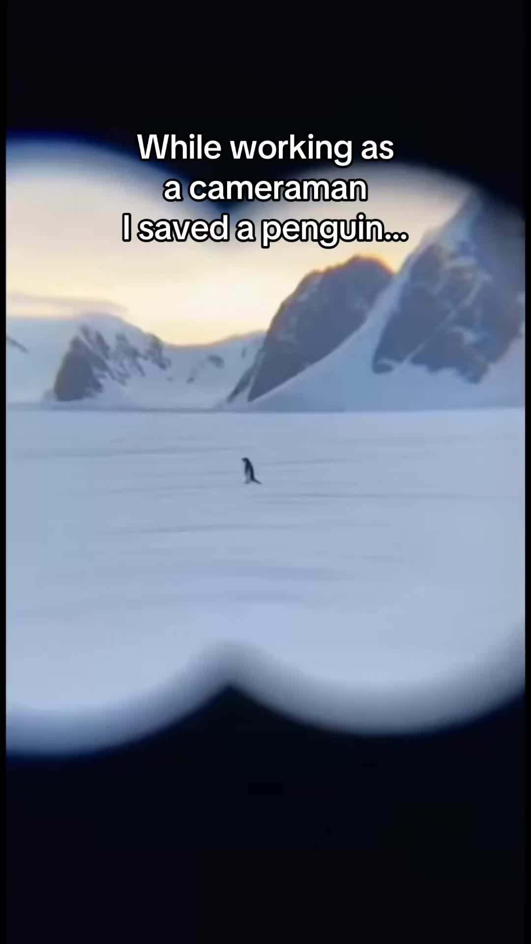 @AnimalWorld