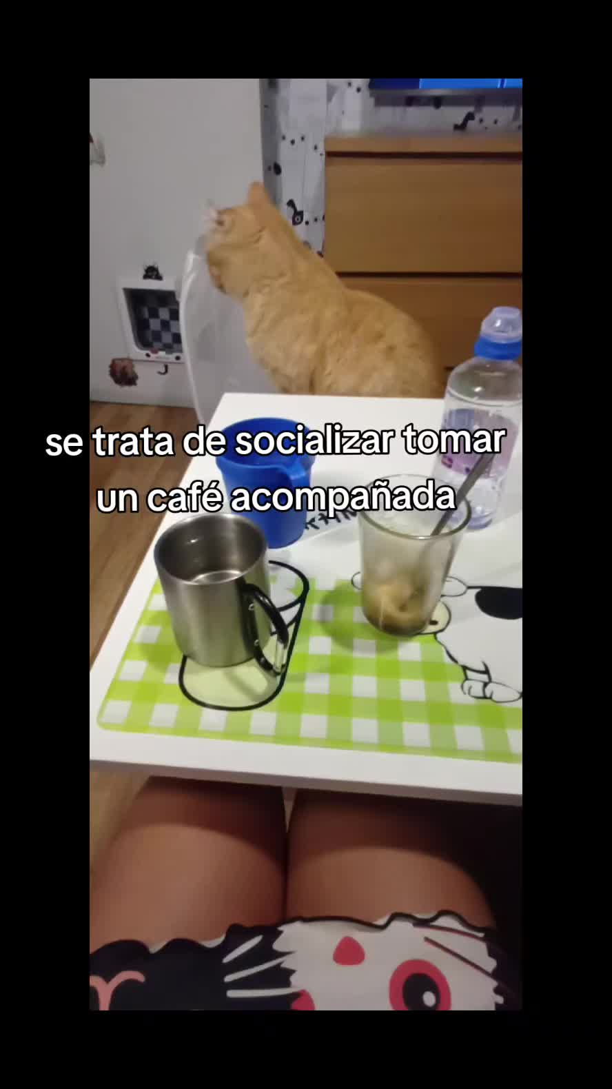 @Ana y los cuatro🐾
