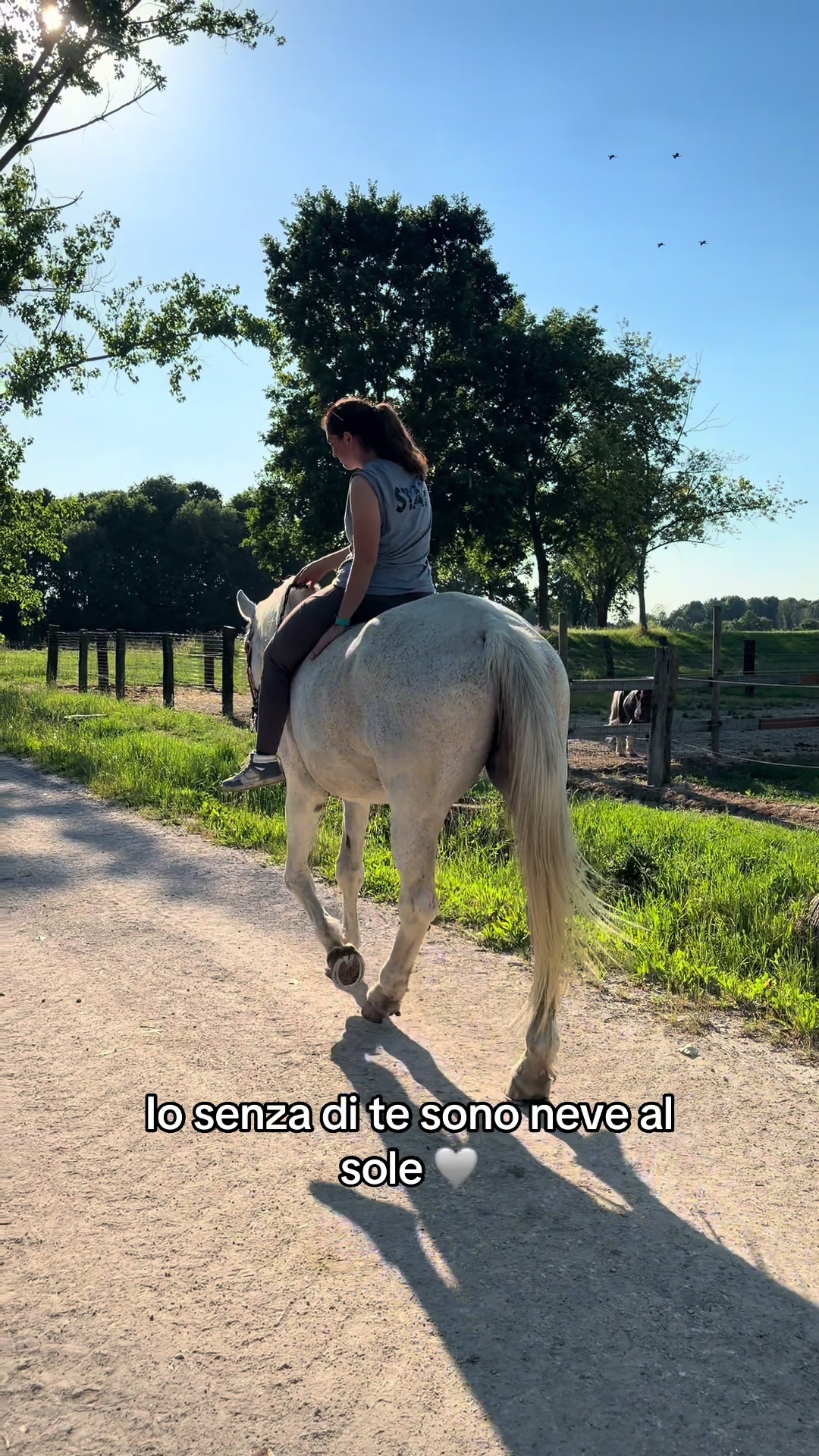 @Marta 🐴