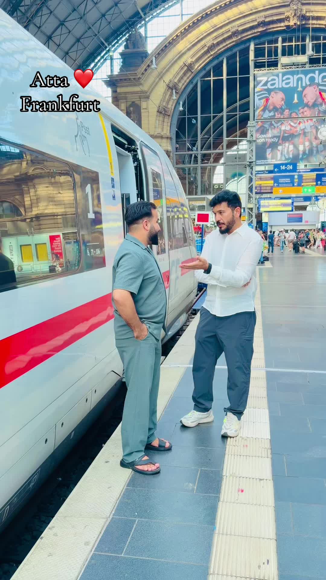 @saedkzadran