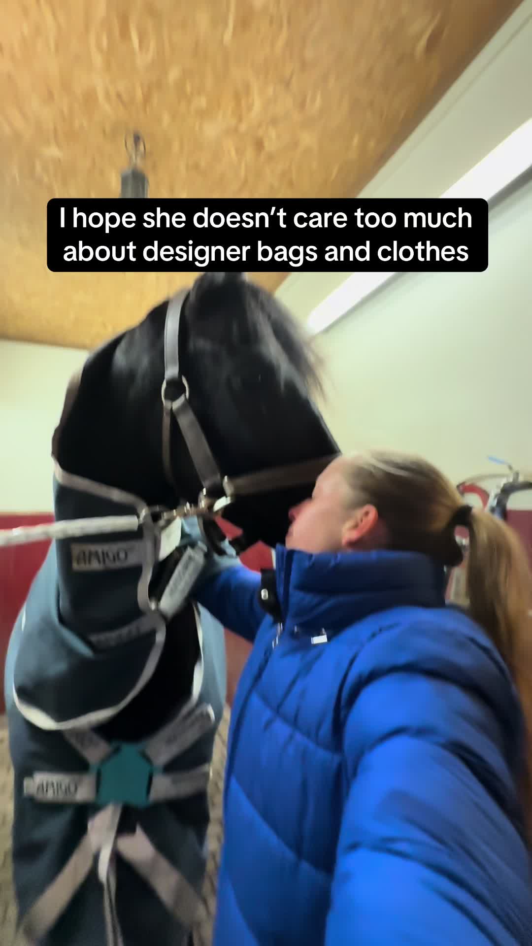 @Phoebe Tack Dressage