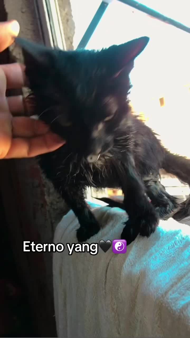 @Robsonying