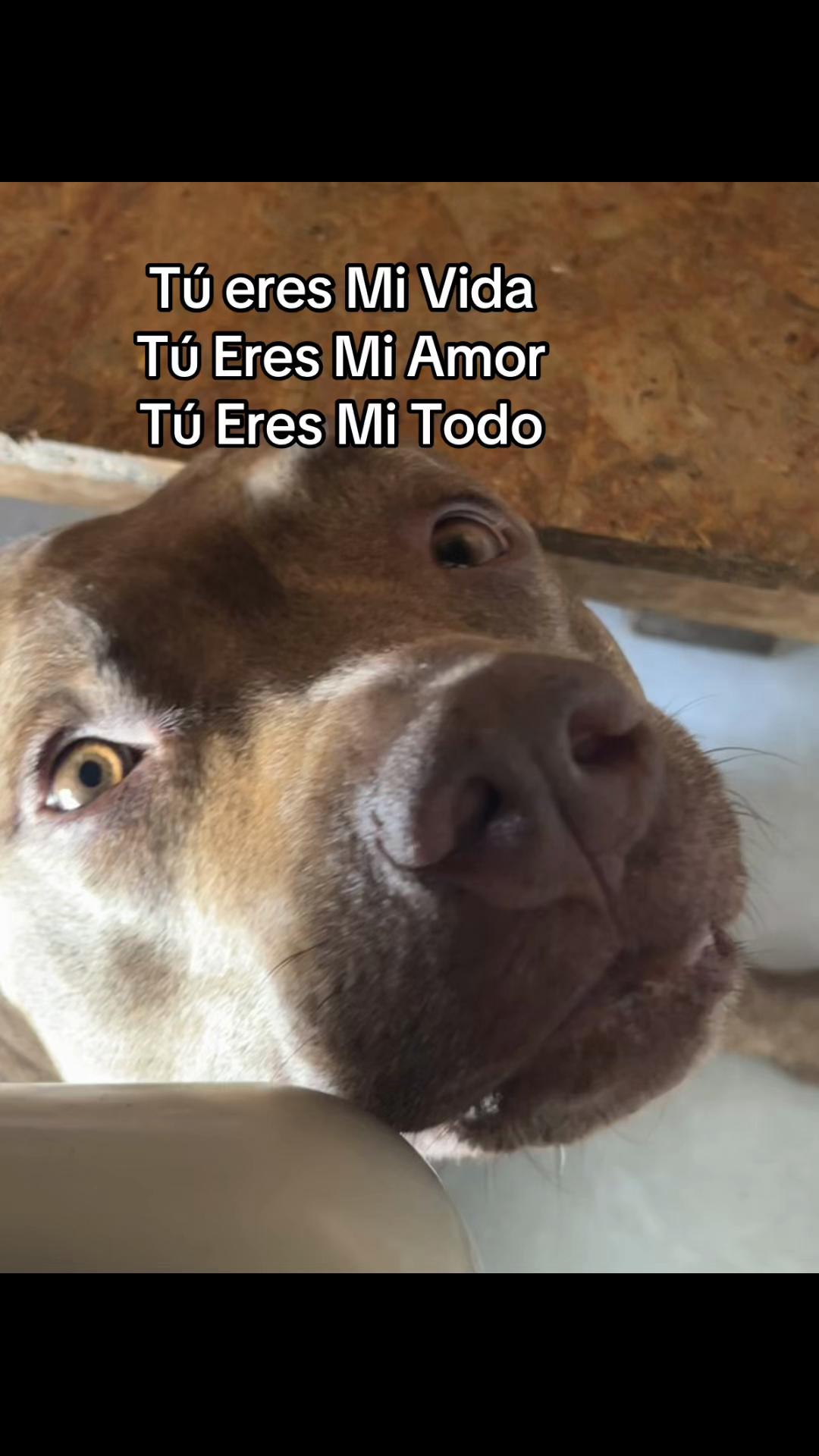 @Laura Villamizar