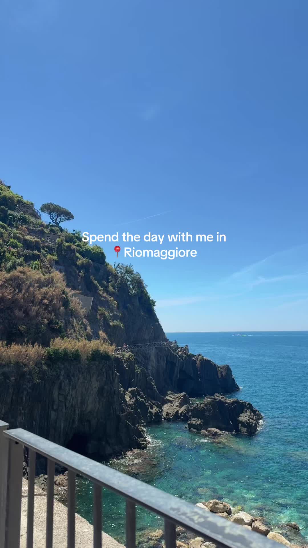 @bunny