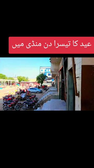 @🌹🥀لیاقت جودھاں آلا 💯💯💯