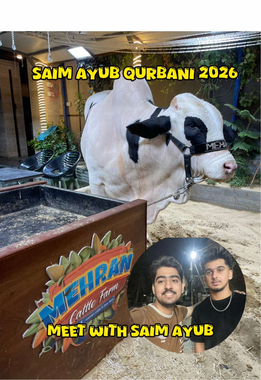 @Hamza Rajput vlogs