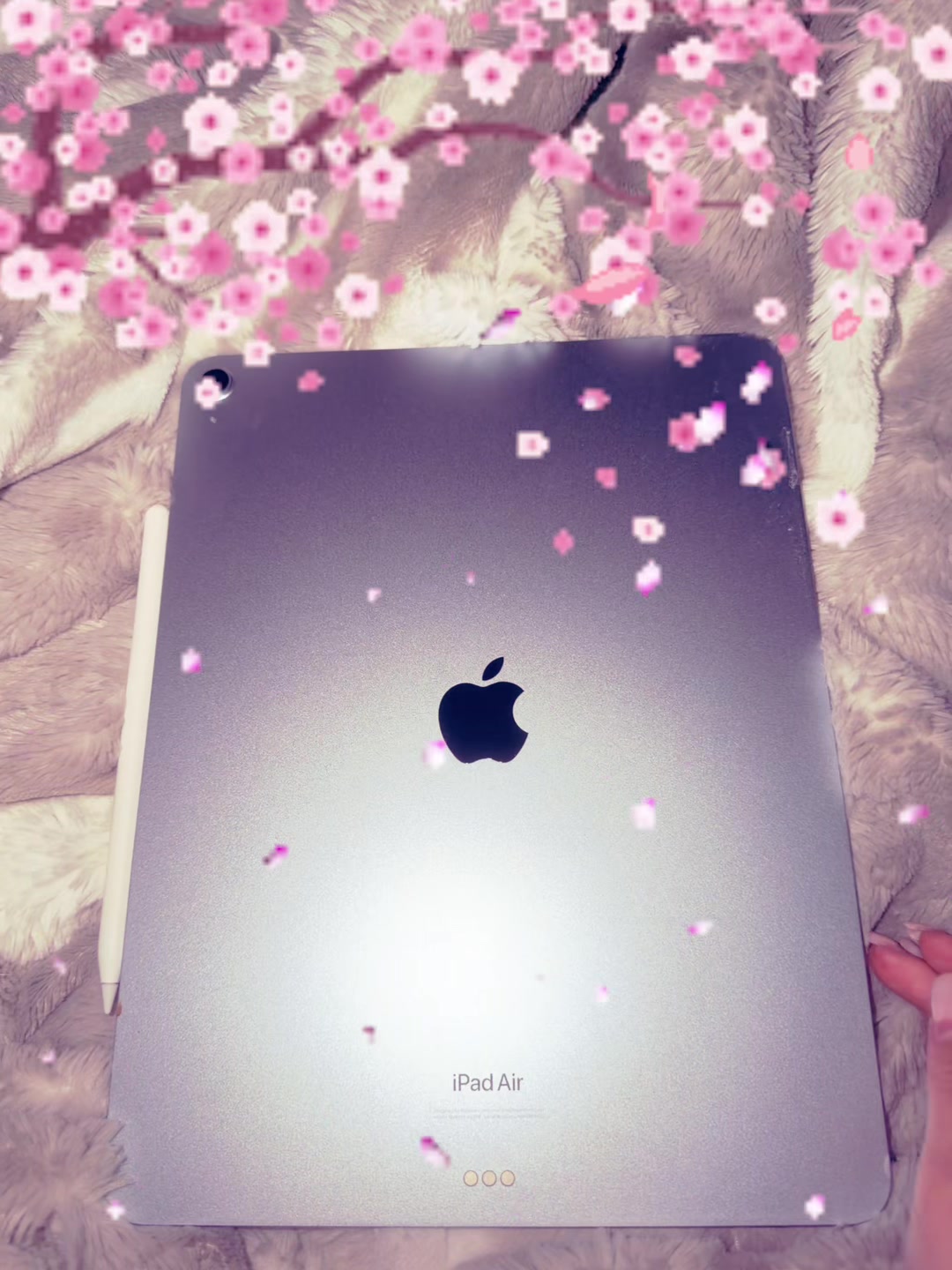 @🤎💜