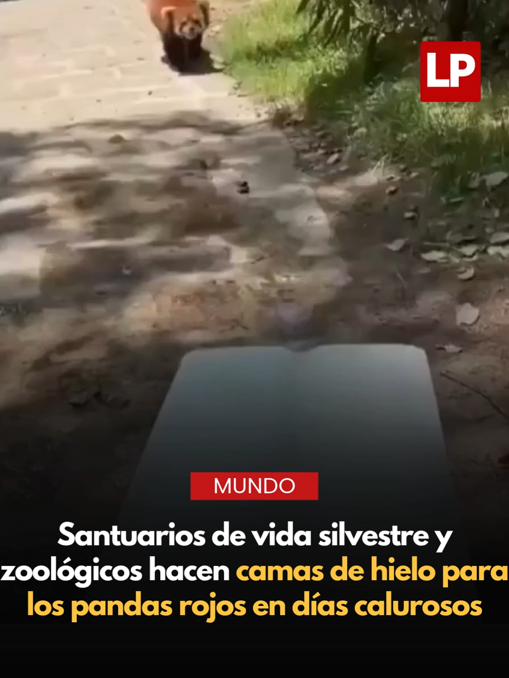 @diariolaprensa