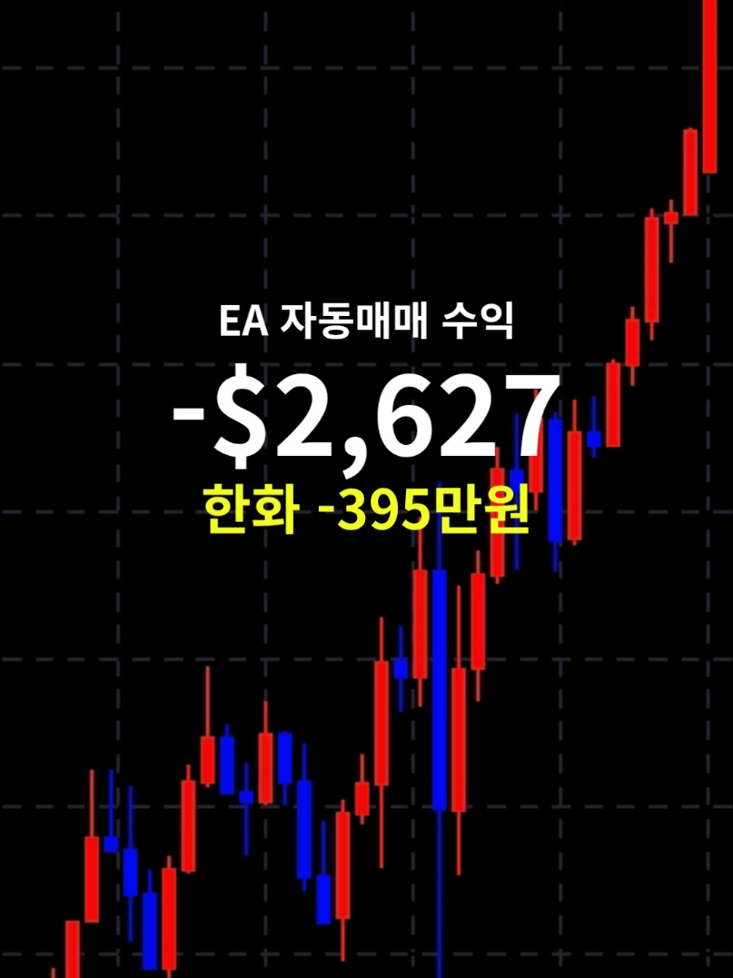 @독싸 • 개인 트레이더