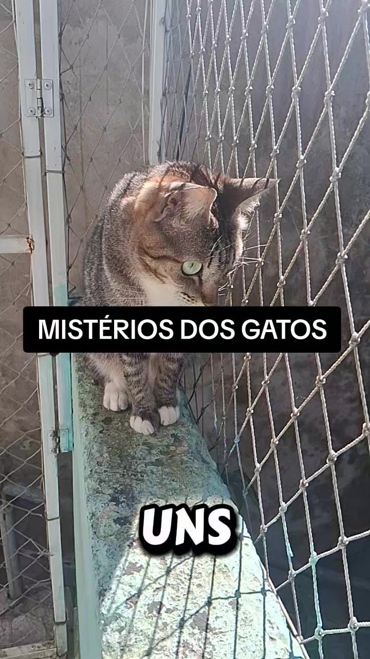 @lua