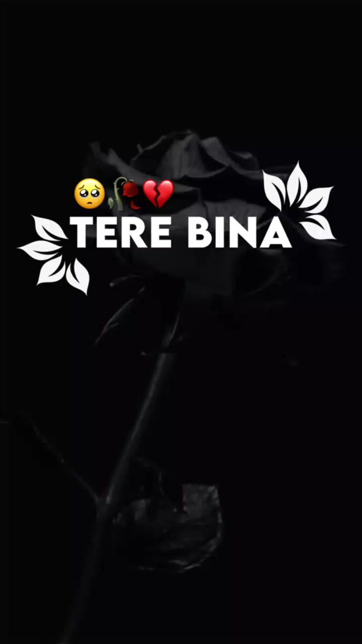 @Rameesha Fatima